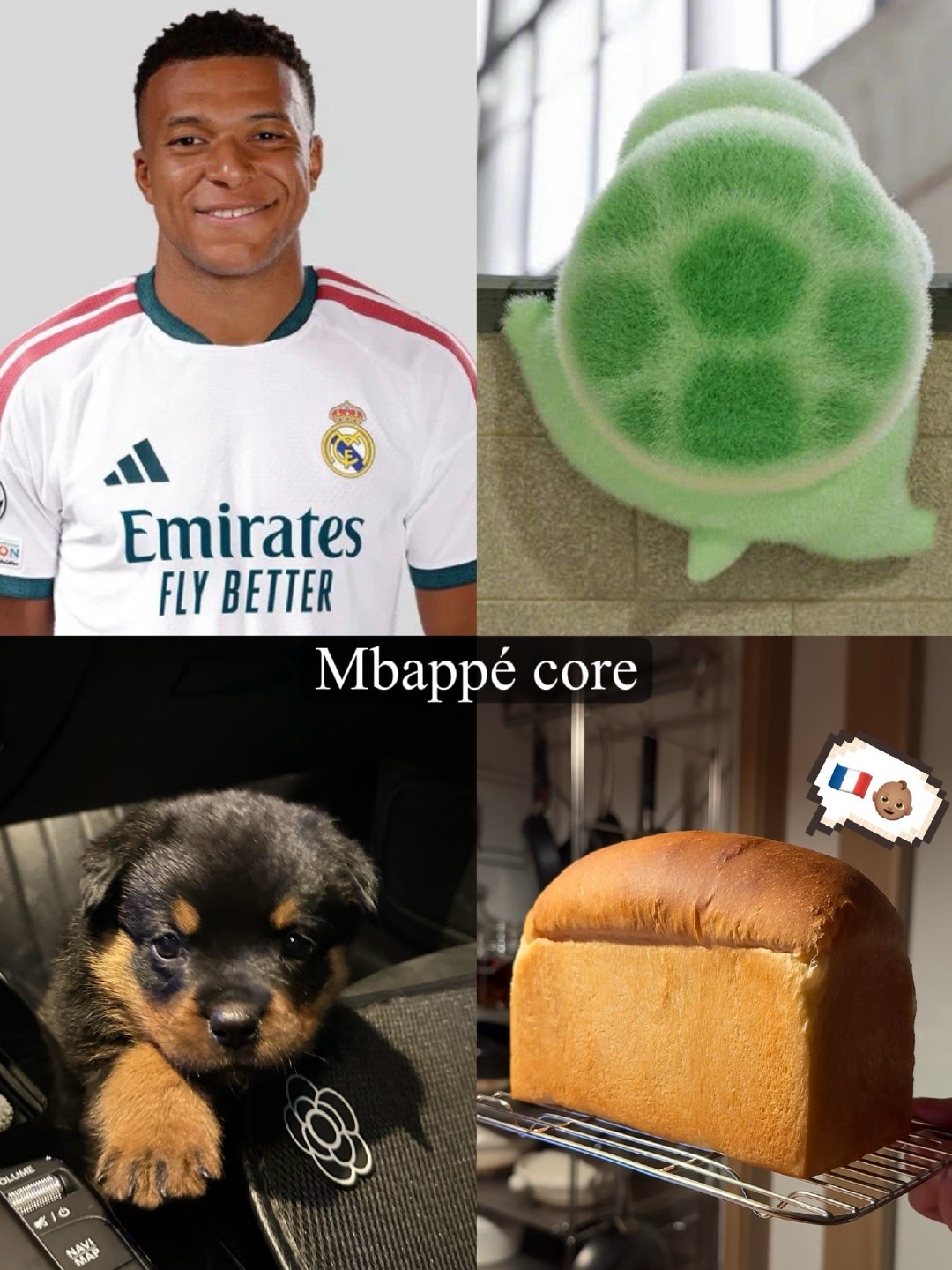 Mbappé core⬇️
小龟…小罗威纳…小面包片…
🇫🇷👶🏽👑🐢🐶🍞⚡️✨ 
#姆巴佩##家有萌龟# ​
