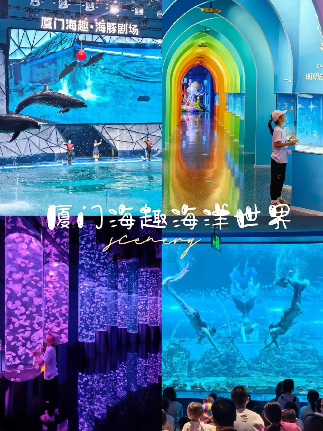 暑假遛娃好去处🐬厦门海趣海洋世界游玩攻略