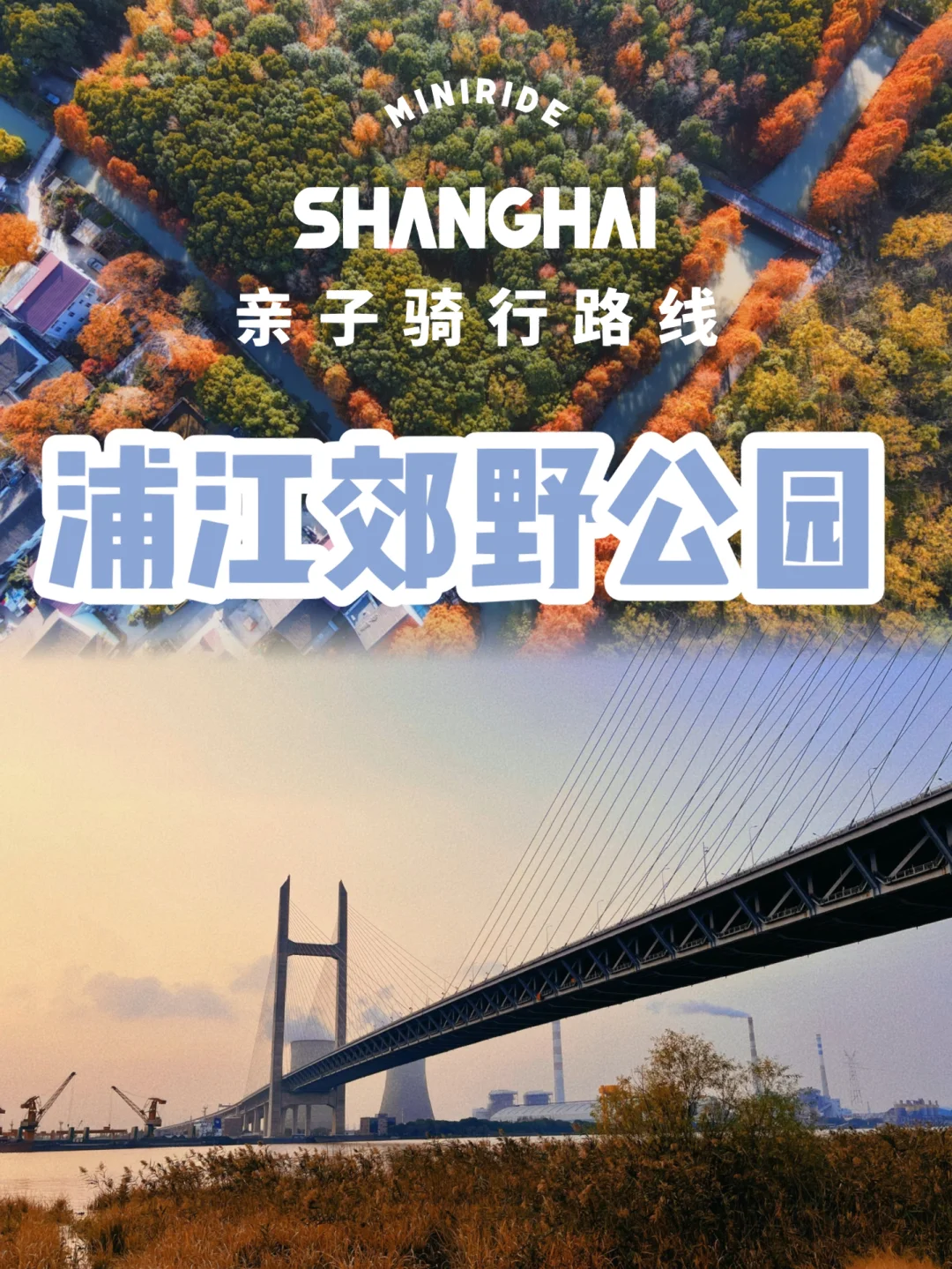 🚴冬骑滨江| 90%的人不知道的路线✅闵浦大桥