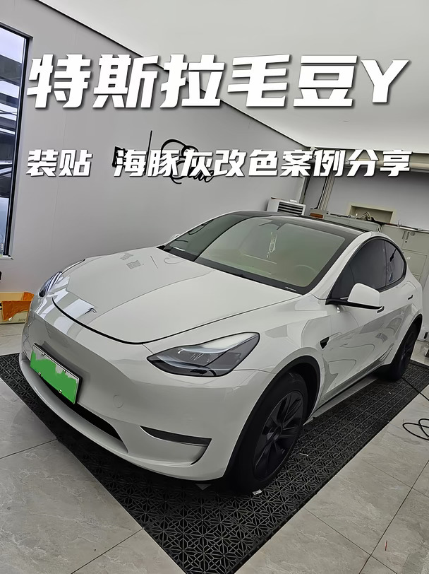 特斯拉Y｜装贴海豚灰改色案例分享