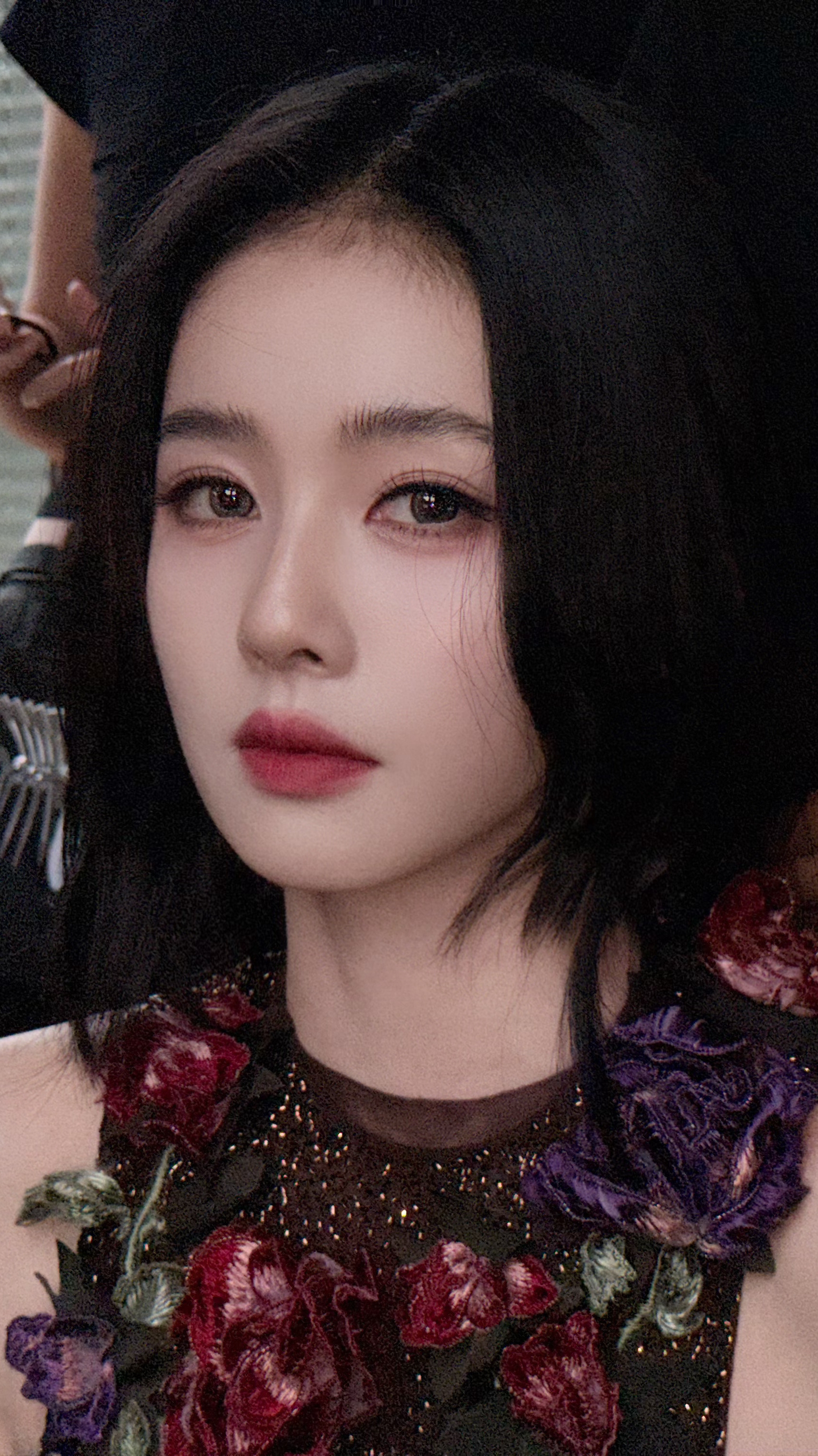 白鹿