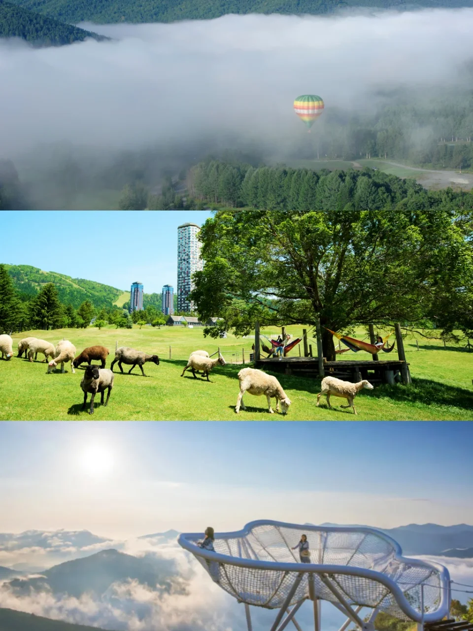 住进星野TOMAMU，解锁北海道夏日隐藏玩法！