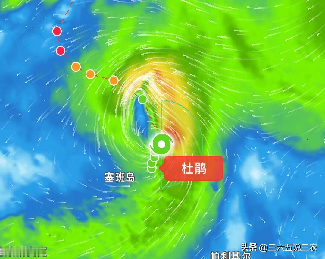 台风“杜鹃”一露面，就自带话题！这个9月16日晚上在西北太平洋上悄悄生成的第25号台风，昨晚还在一路向北狂奔，时速足足40公里左右，堪称海上“飞毛腿”，可谁能想到，它跑着跑着竟要来个急转弯？
说实话，今年这台风真是一个接一个，前面24个台风里，美莎克、巴威、白海豚、沙德尔这些名字，不少人都记忆犹新，
