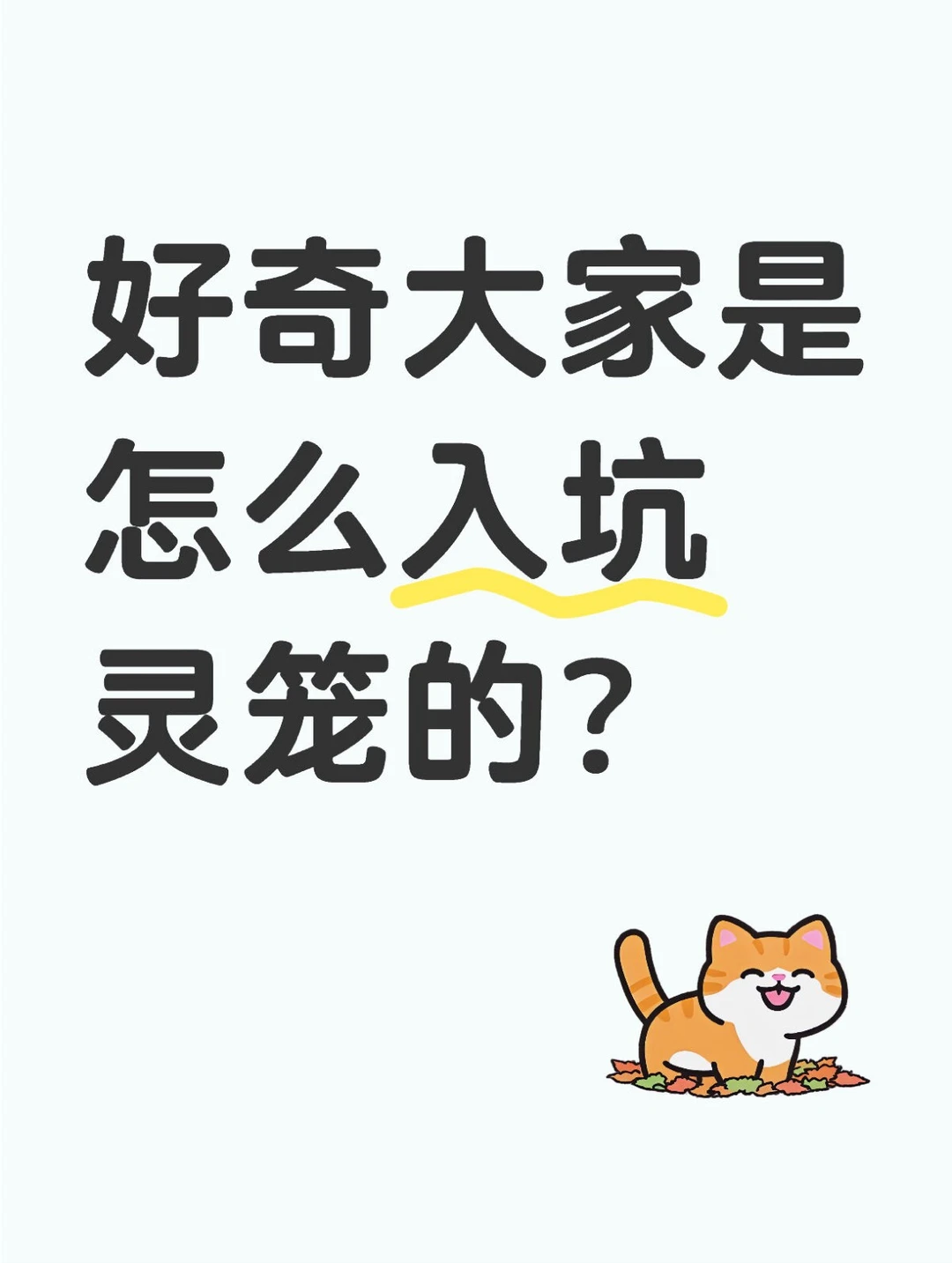 你入坑灵笼的原因是？