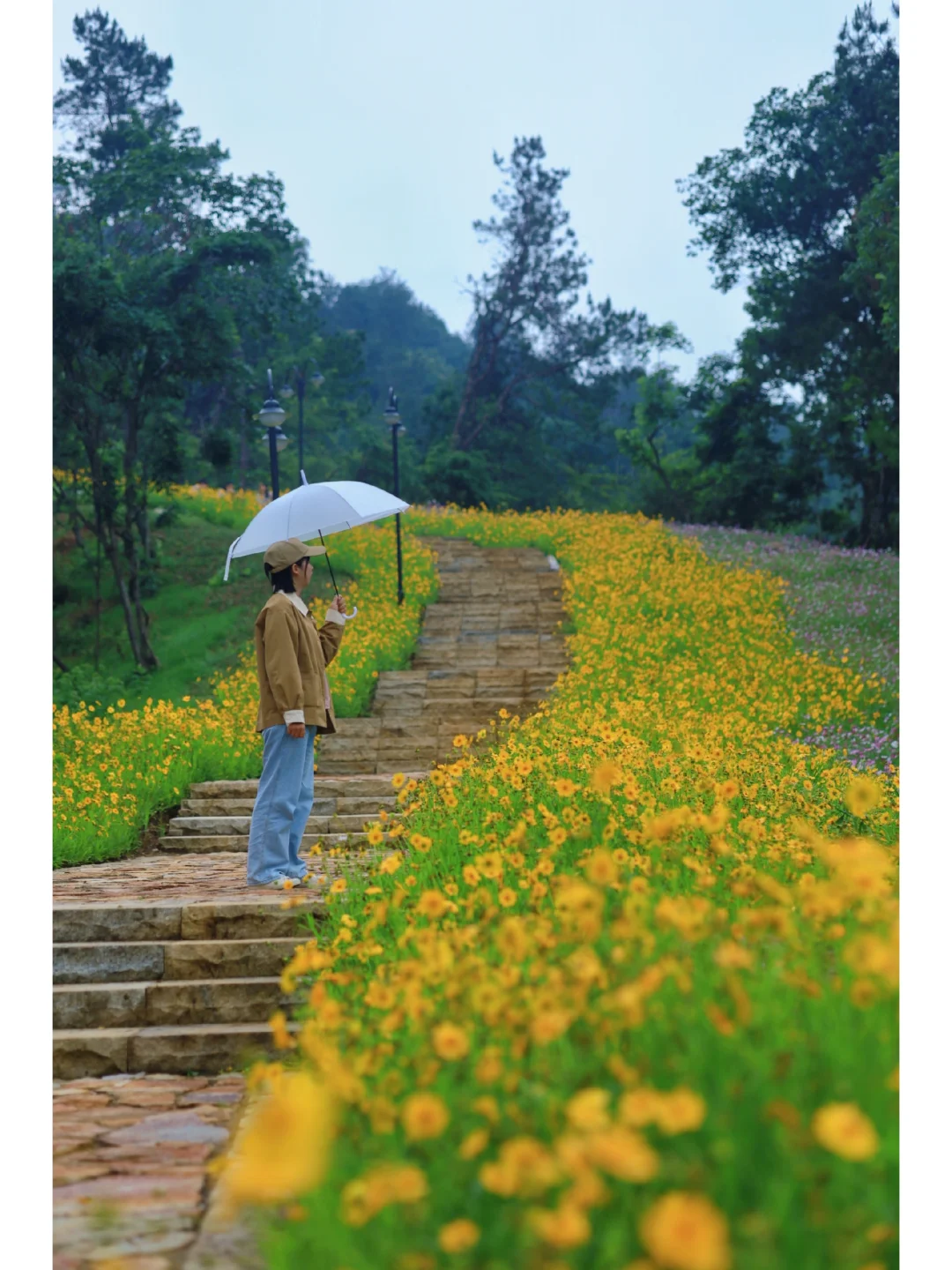 武汉最治愈的徒步路线❗️花海开爆居然没人