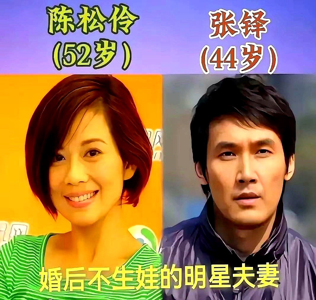 总有人觉得不生孩子的家庭早晚得散。

刘青云郭蔼明、梁朝伟刘嘉玲、舒淇冯德伦，家里几十年来都只有两副碗筷。外面指指点点吵了大半辈子，结果狗仔拍到的，是刘青云挽着妻子在平价菜市场挑青菜；舒淇和冯德伦路边换双球鞋就定了终身，聚在一起笑得像年轻朋友。

蒙嘉慧郑伊健四处游玩，咏梅栾树院里喝茶。屋里没哭闹声