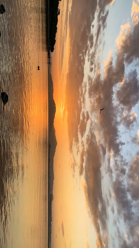 【爆款标题】“应对情绪波动的恋爱：如何避免感情崩溃？这几点你必须掌握”...