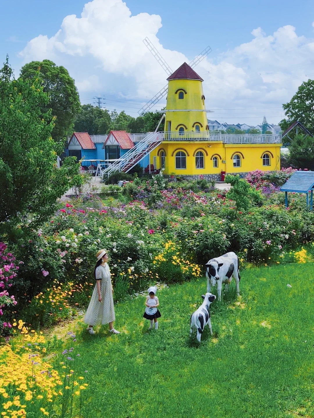 武汉也有泰式有机花田农场🐄仿若置身小清迈