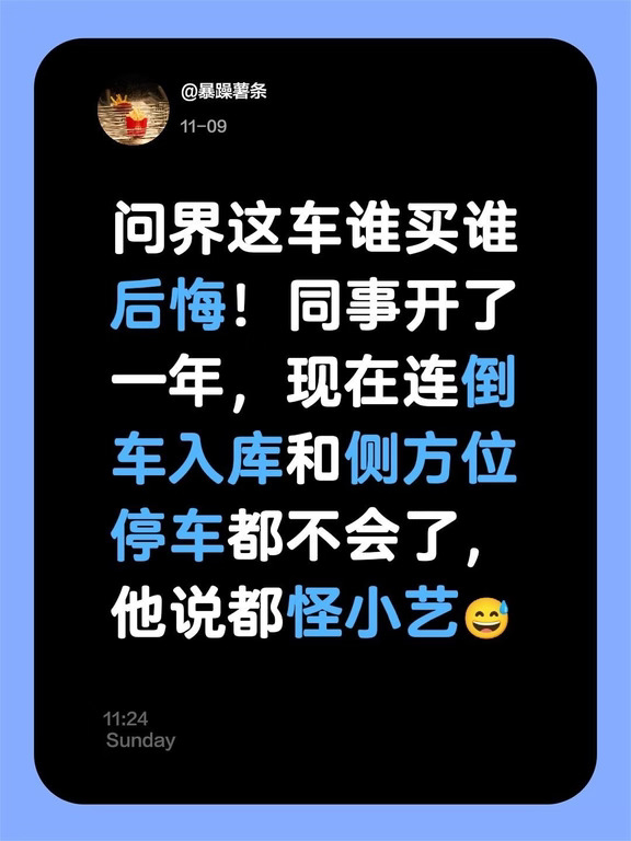 问界这车谁买谁后悔！同事开了一年，现在连倒车入库和侧方位停车都不会了，他说都怪小艺让他技术严重退化😅#问界 #赛力斯#鸿蒙智行 #问界车友群 #问界M8 #问界m9 #泊车天才 #有点离谱但合理呀 #问界m7