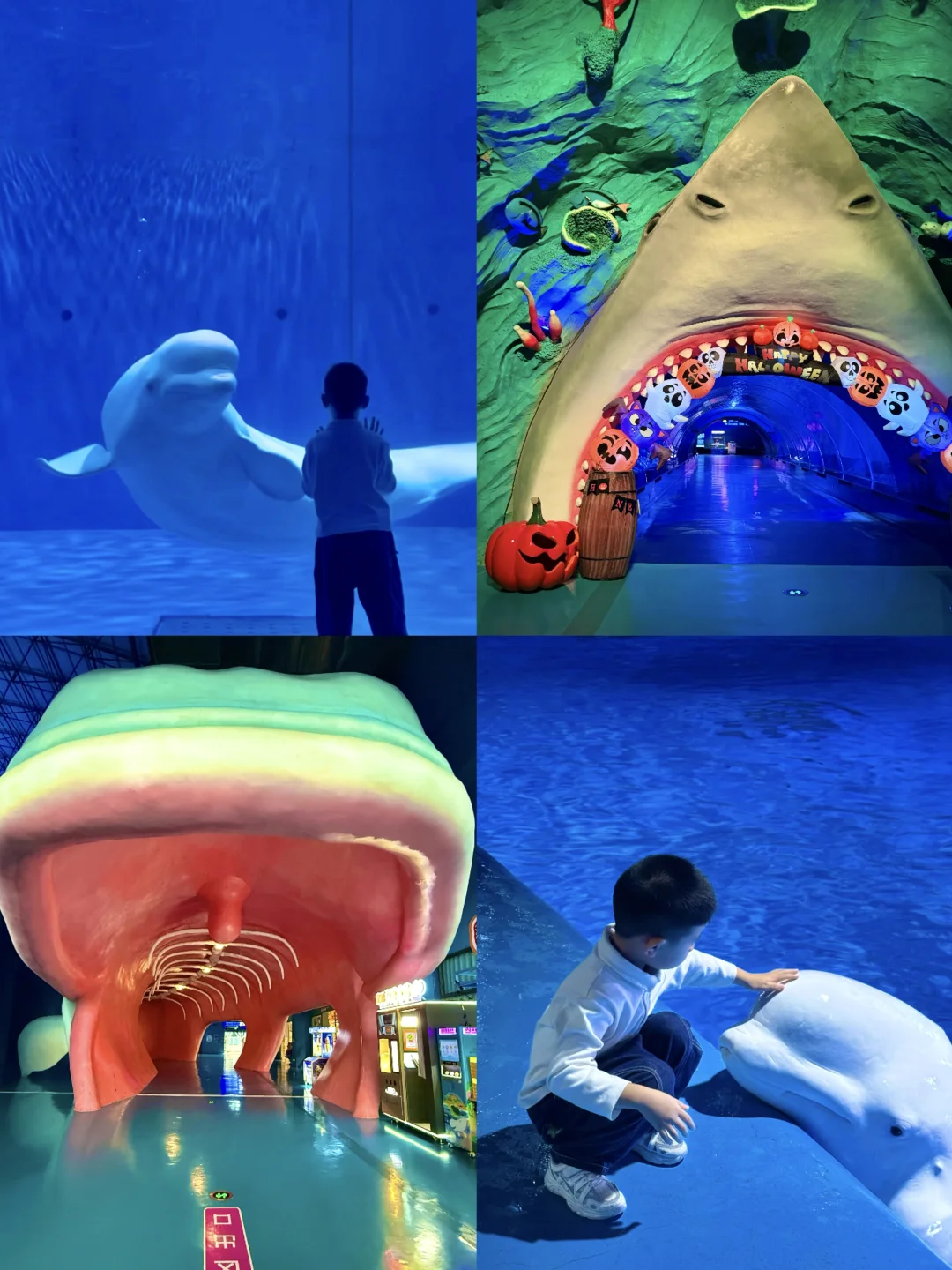 Live图 🔆福州欧乐堡保姆级攻略|两天一夜