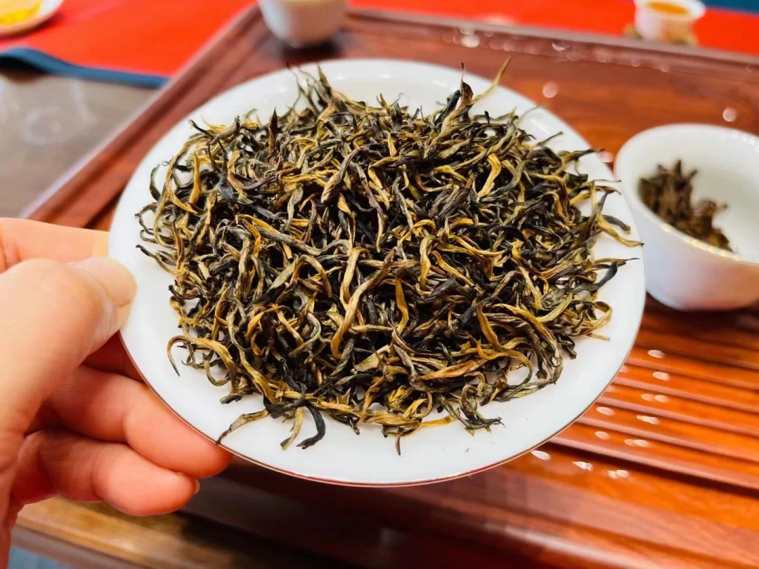 头春茶·英红九号金毛豪