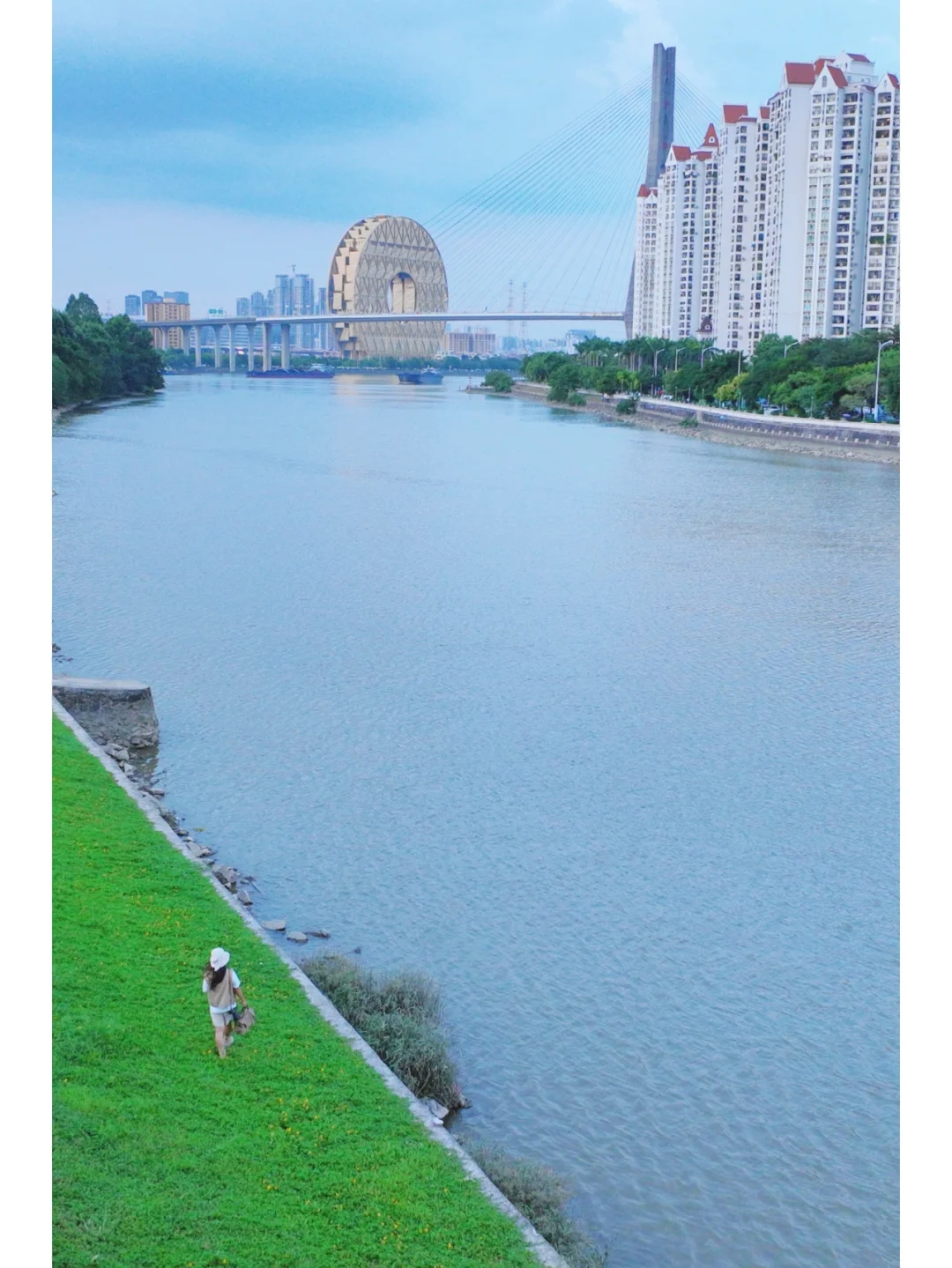 救命❗️ 广佛公交带我来了个什么仙境