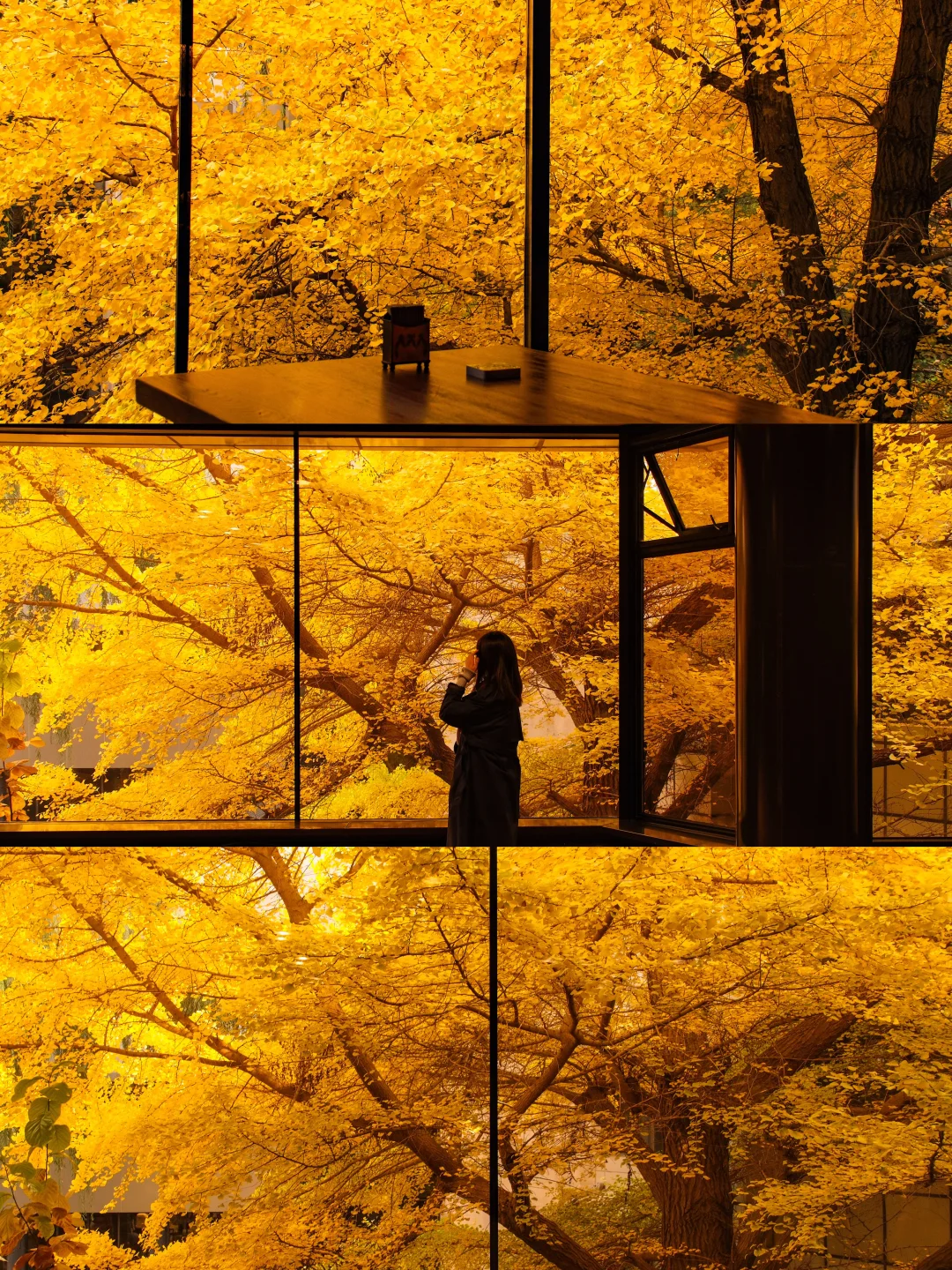 为了这扇窗🍁🍂我专门飞了一趟北京 🍂