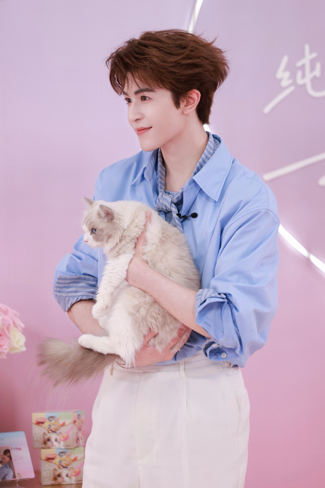 Reposted photo 两只猫咪🐱🐱 ​