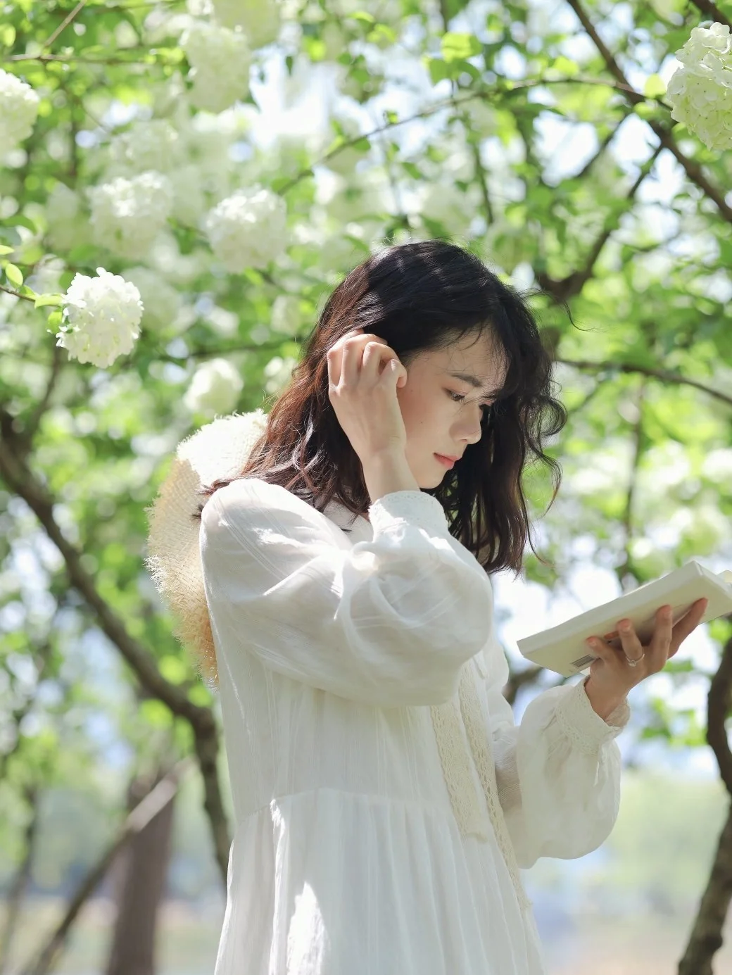 武汉0元绣球花海/人少景美好出片快冲❗️