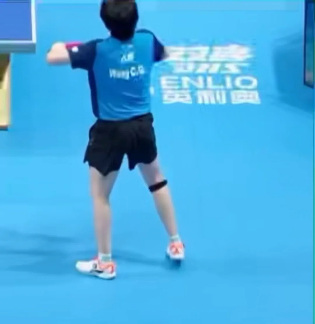 王队你一会儿给我小咪扇感冒了😳
