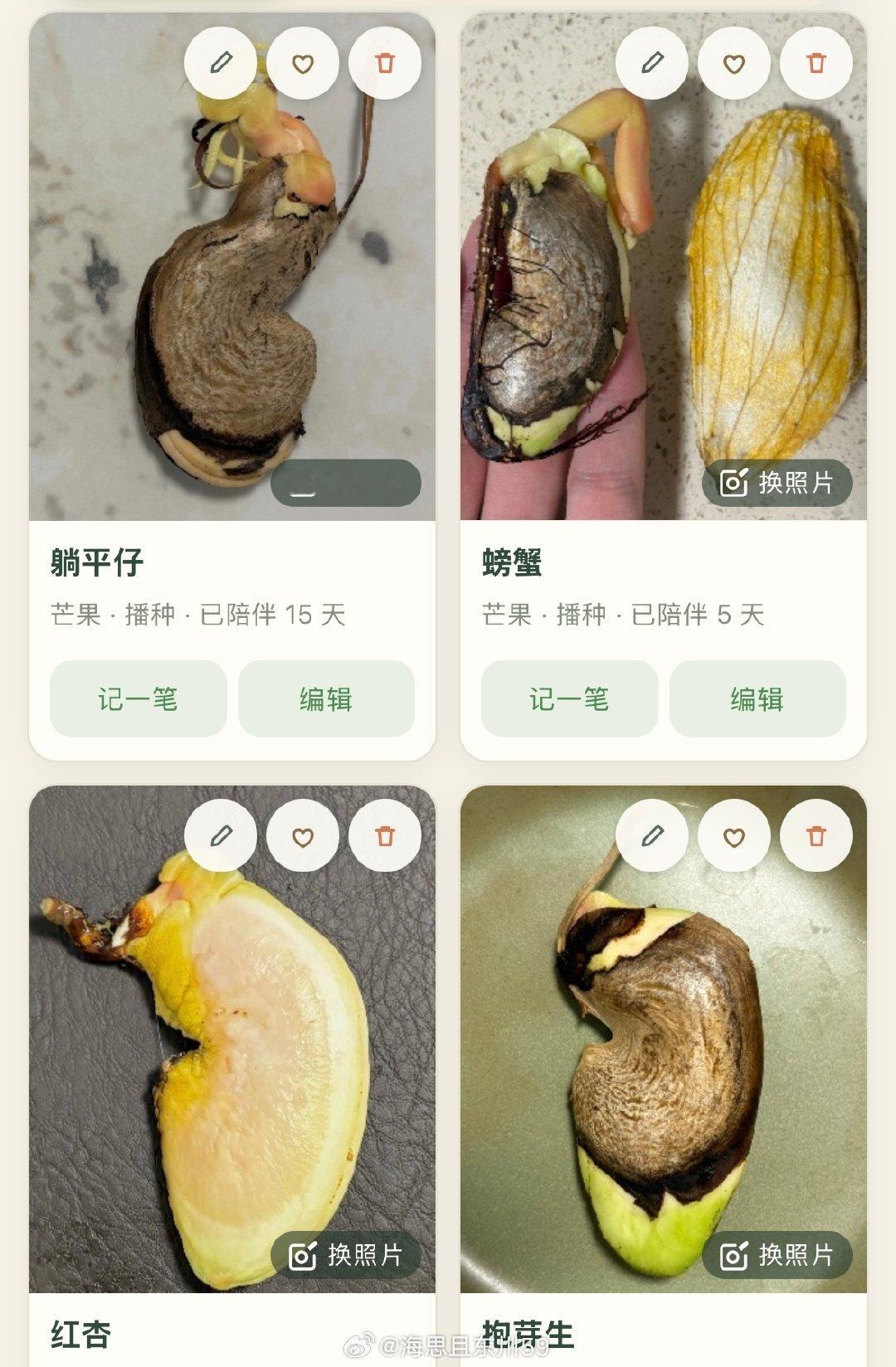 最近每天起床和下班回来都会先看看植物
用workbuddy弄了个记录植物的工作台
之前在幼儿园发财树上折下来的两个枝条活下来
最近长出新叶子了 已经被朋友预约了一株下次来带走（给这些植物取名字也非常之有意思！ ​