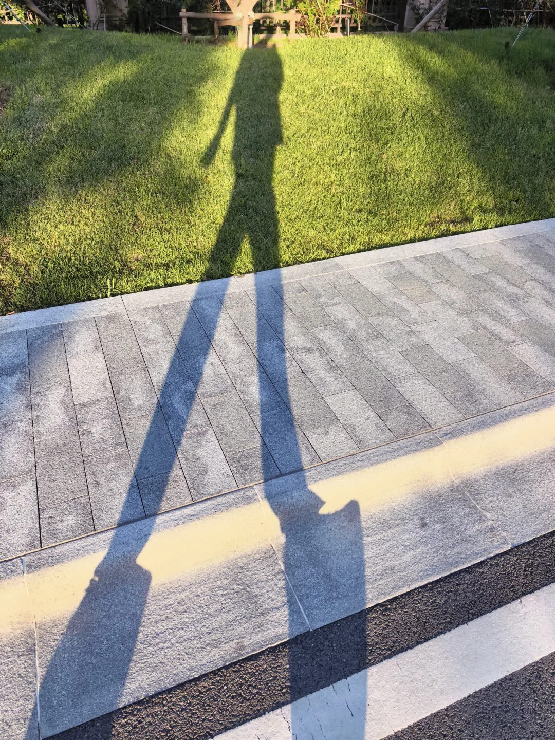 报告未女！截止今天，我的娱乐项目统计数据如下：
	
秋秋等级升到了100级，名片
