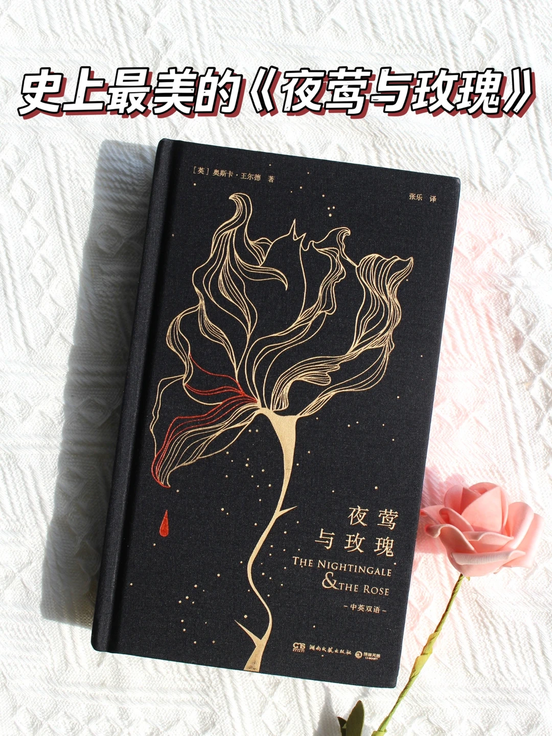 豆瓣9.2｜最美的成人童话，却把大人看哭了🌹
