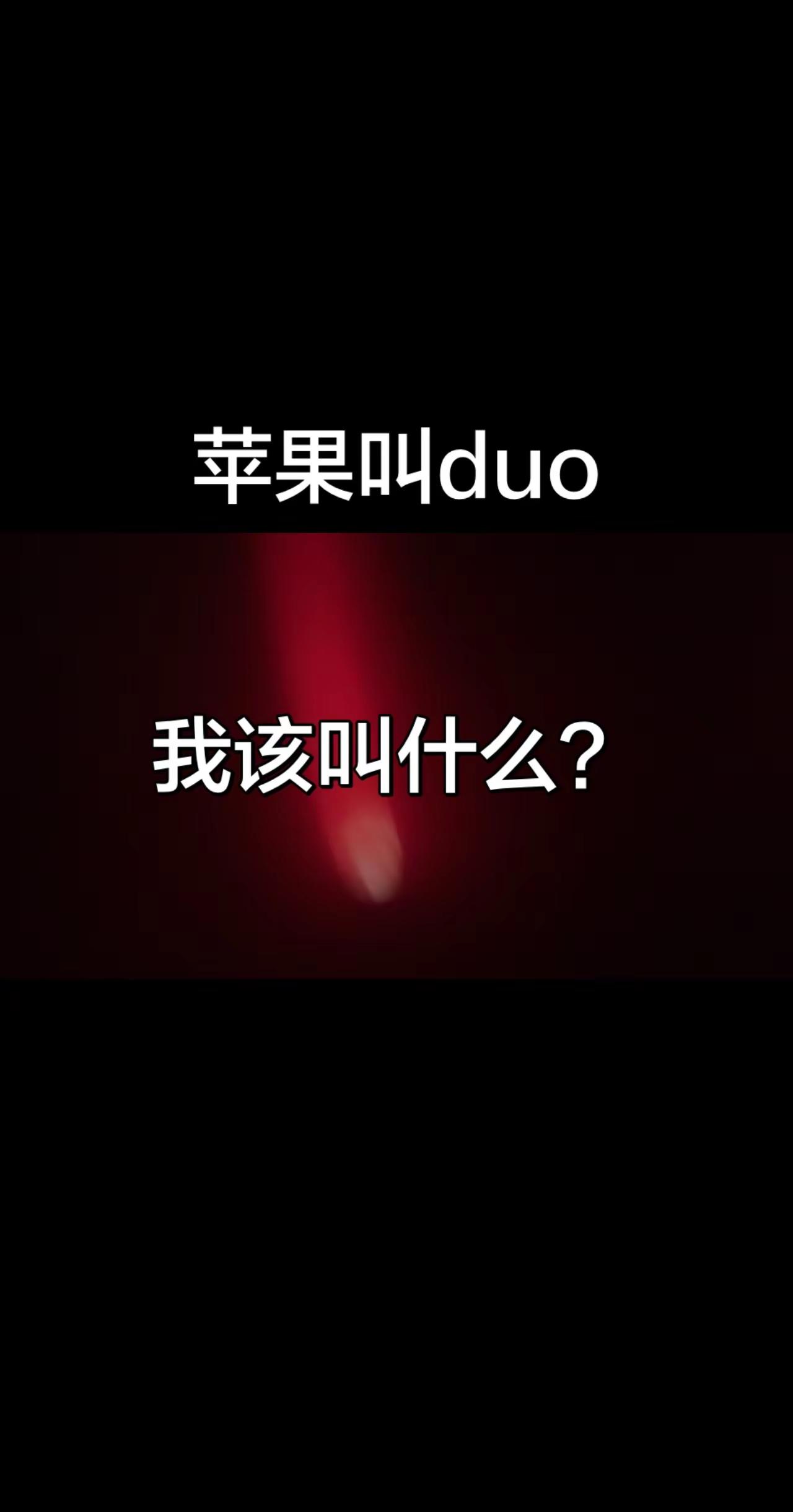苹果手机
