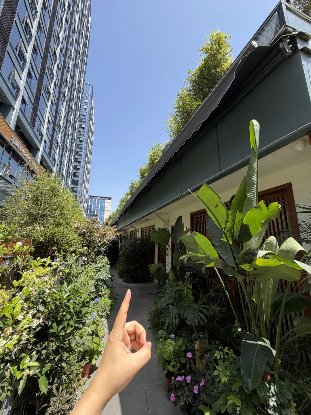 必须安利给所有在成都的人！！！！！！