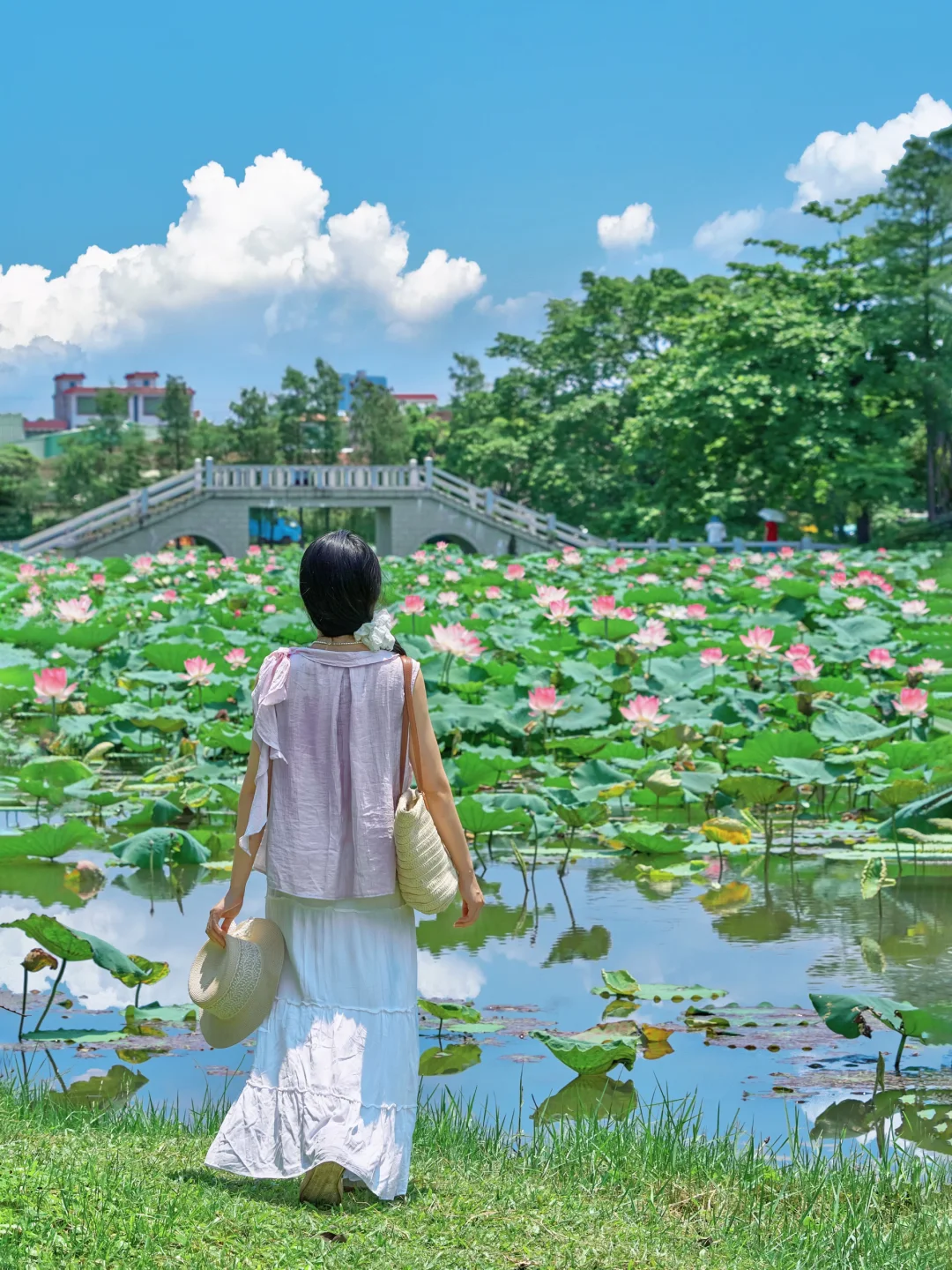 广州1h直达🪷东莞这片蝉鸣荷香超有夏日氛围
