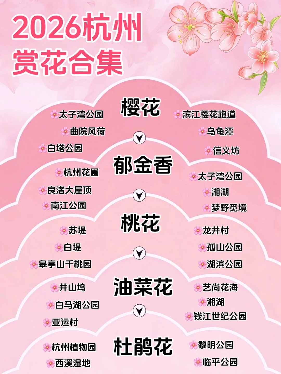 2026杭州追花日历｜按花期解锁春日顶流🌹