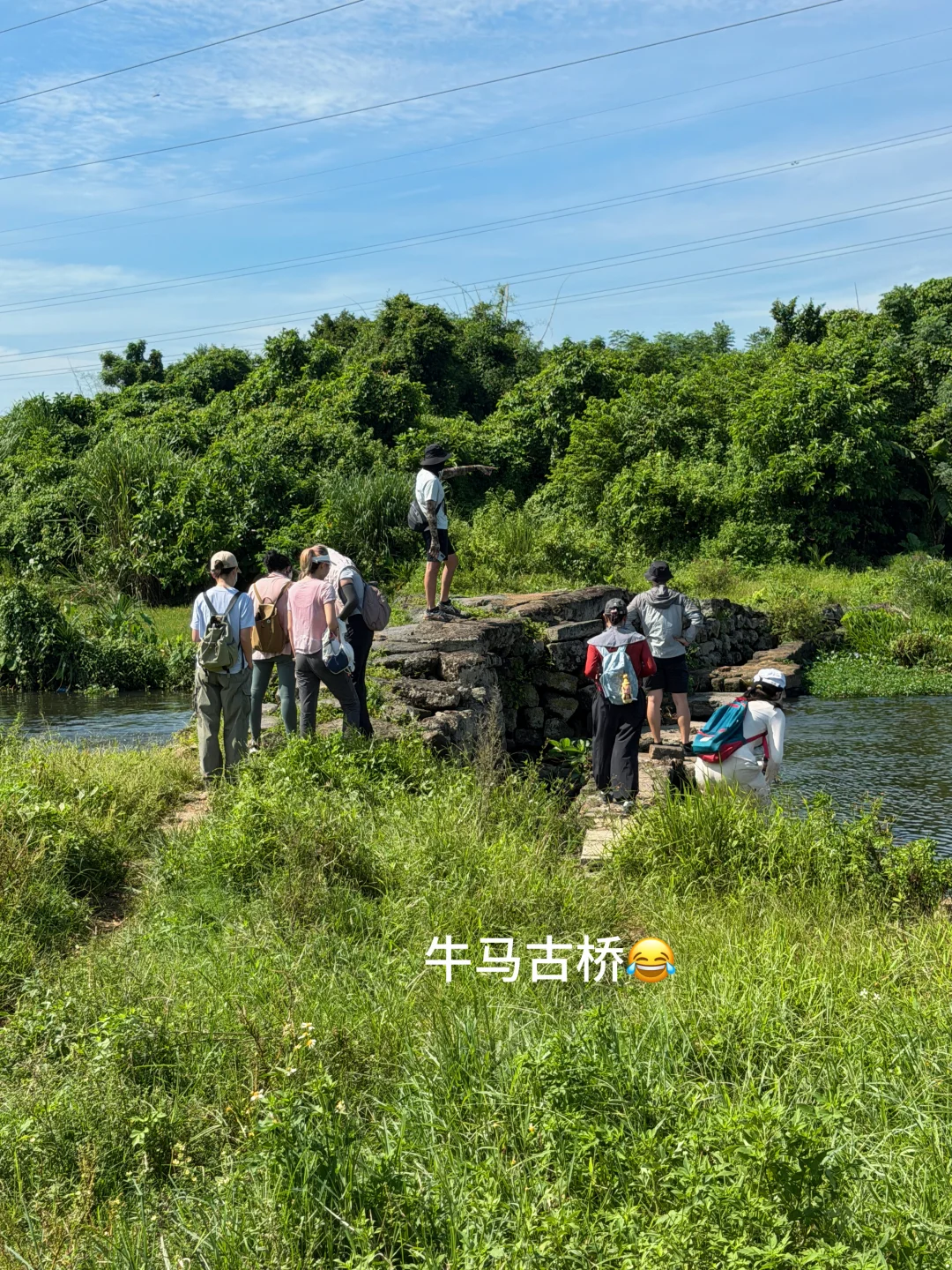 ✨牛马古桥，古桥在野｜海口徒步