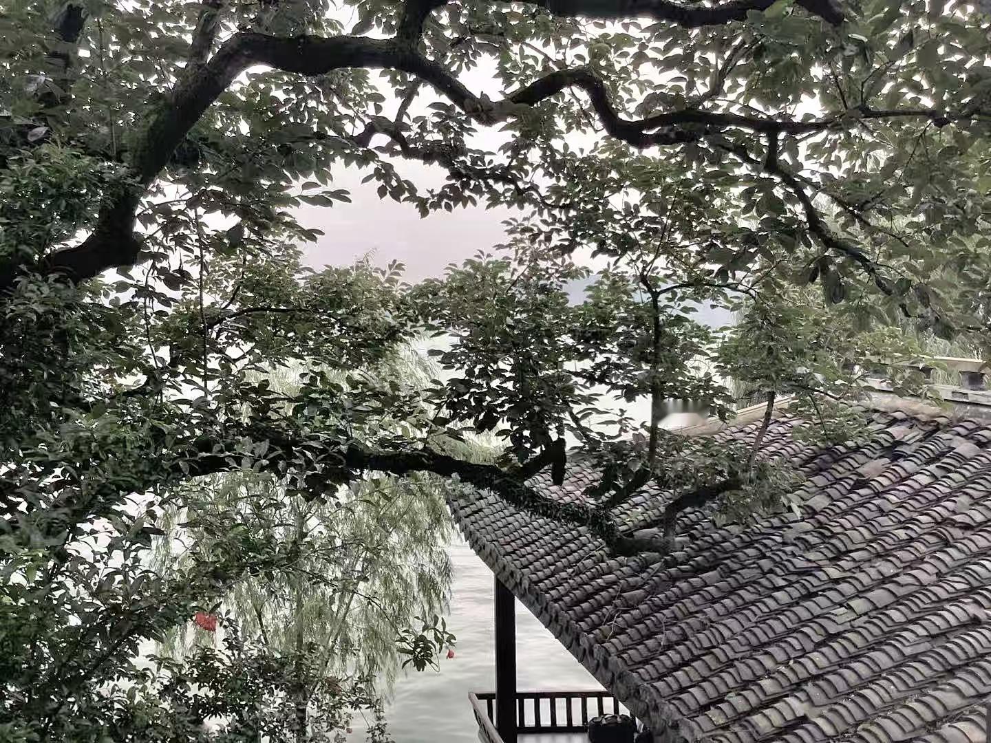 年轻的古天乐，听声闻其人[赞]