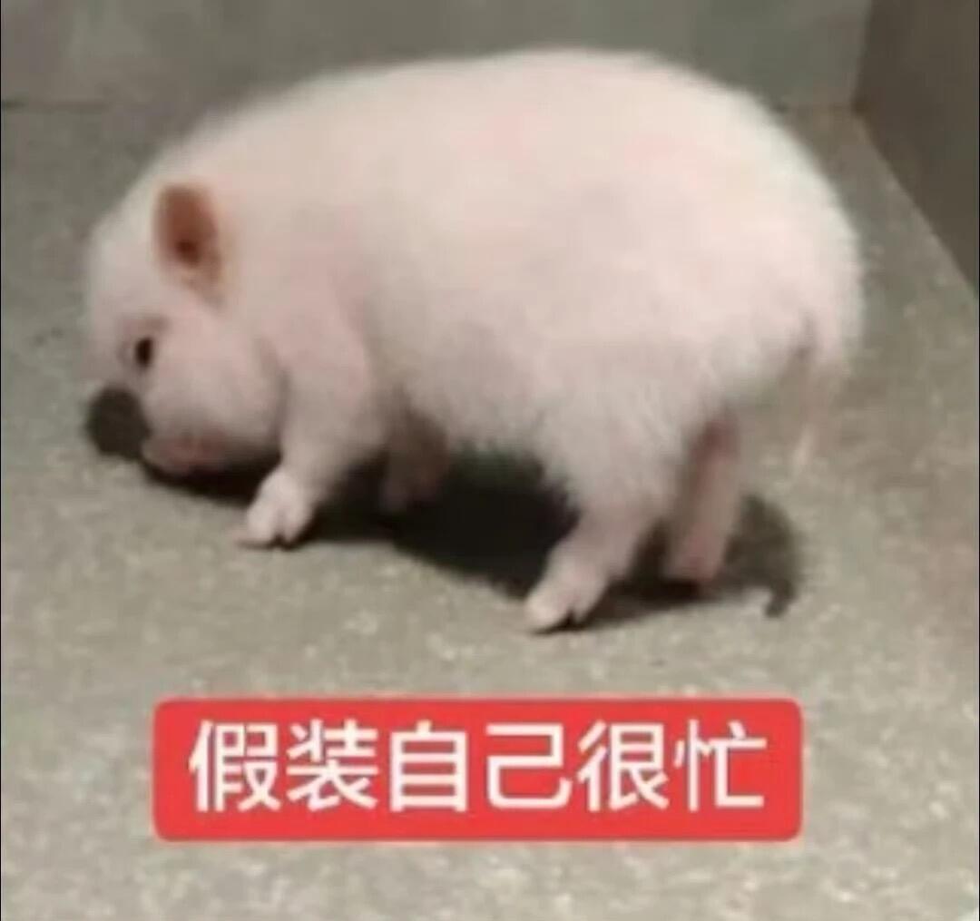 萌萌小猪表情包金秋壁纸大放送 ​​​