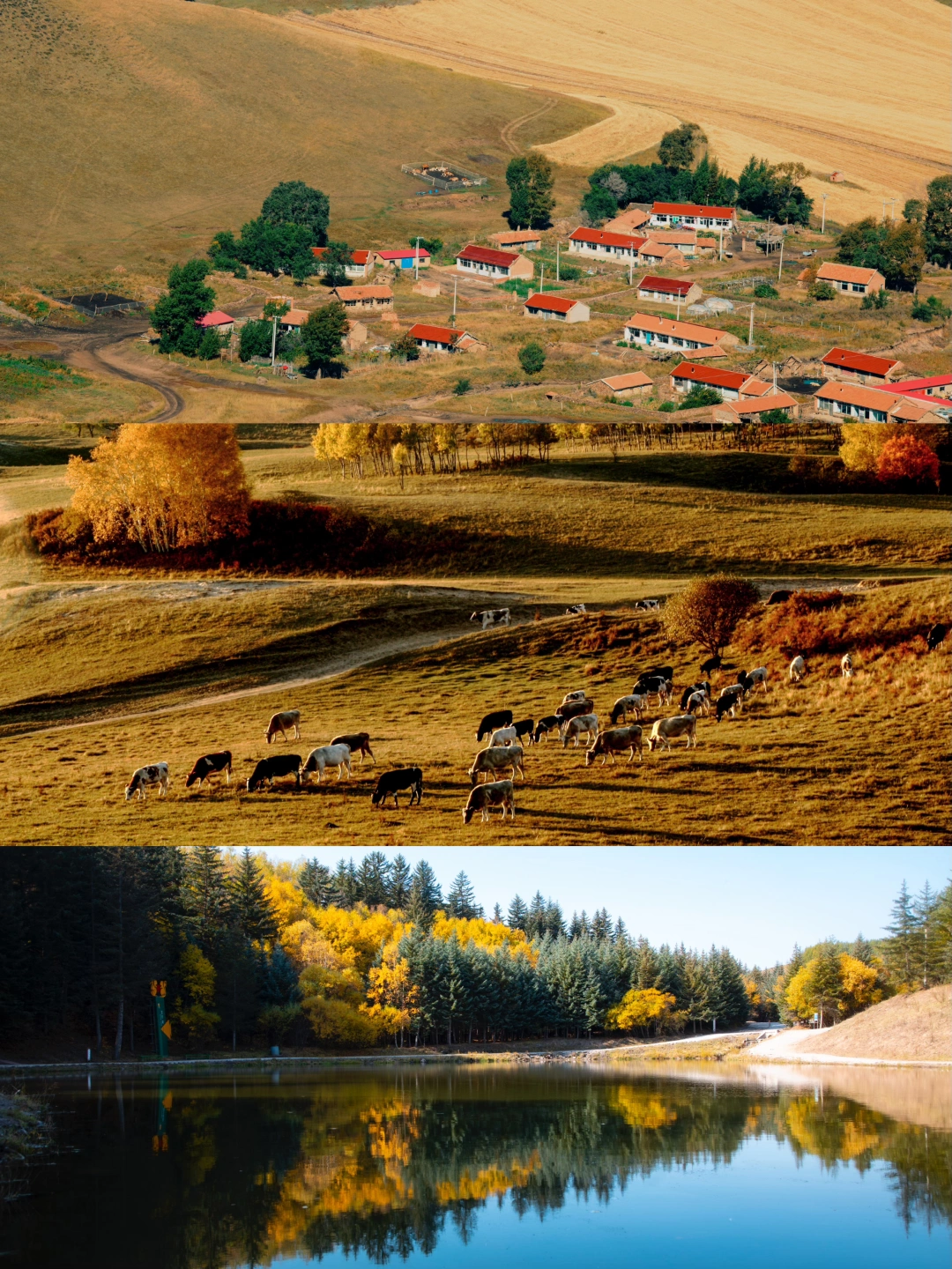 北京周边游｜被朋友圈赞爆的秋景“天花板”