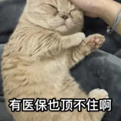 医保