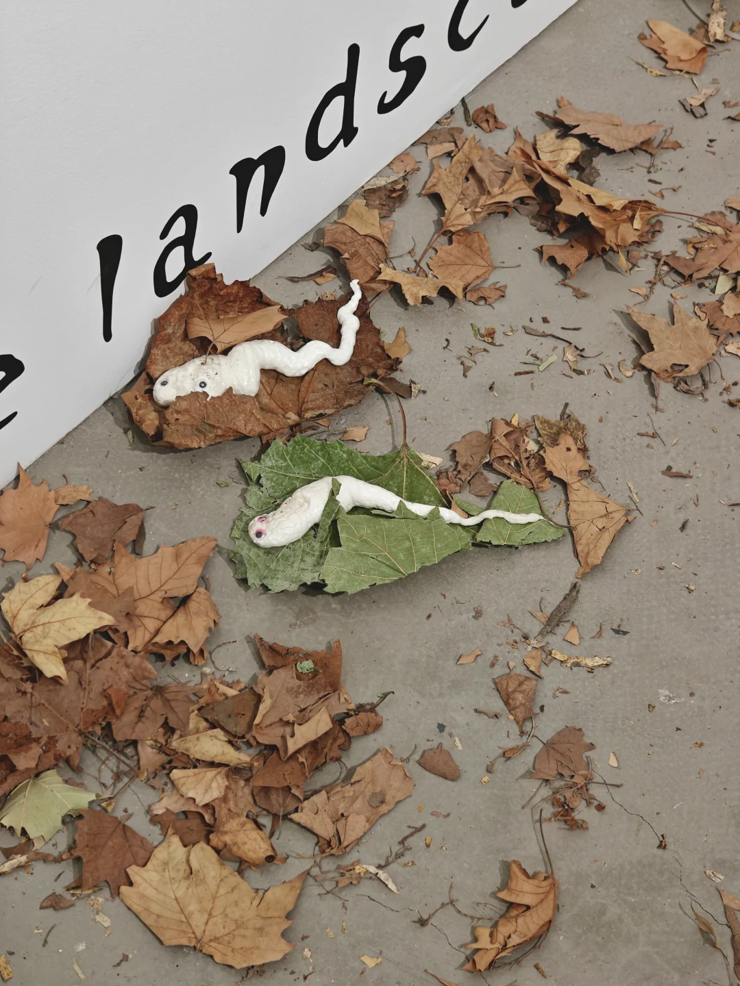 救命！看个展怎么一脚踩进了蛔虫窝