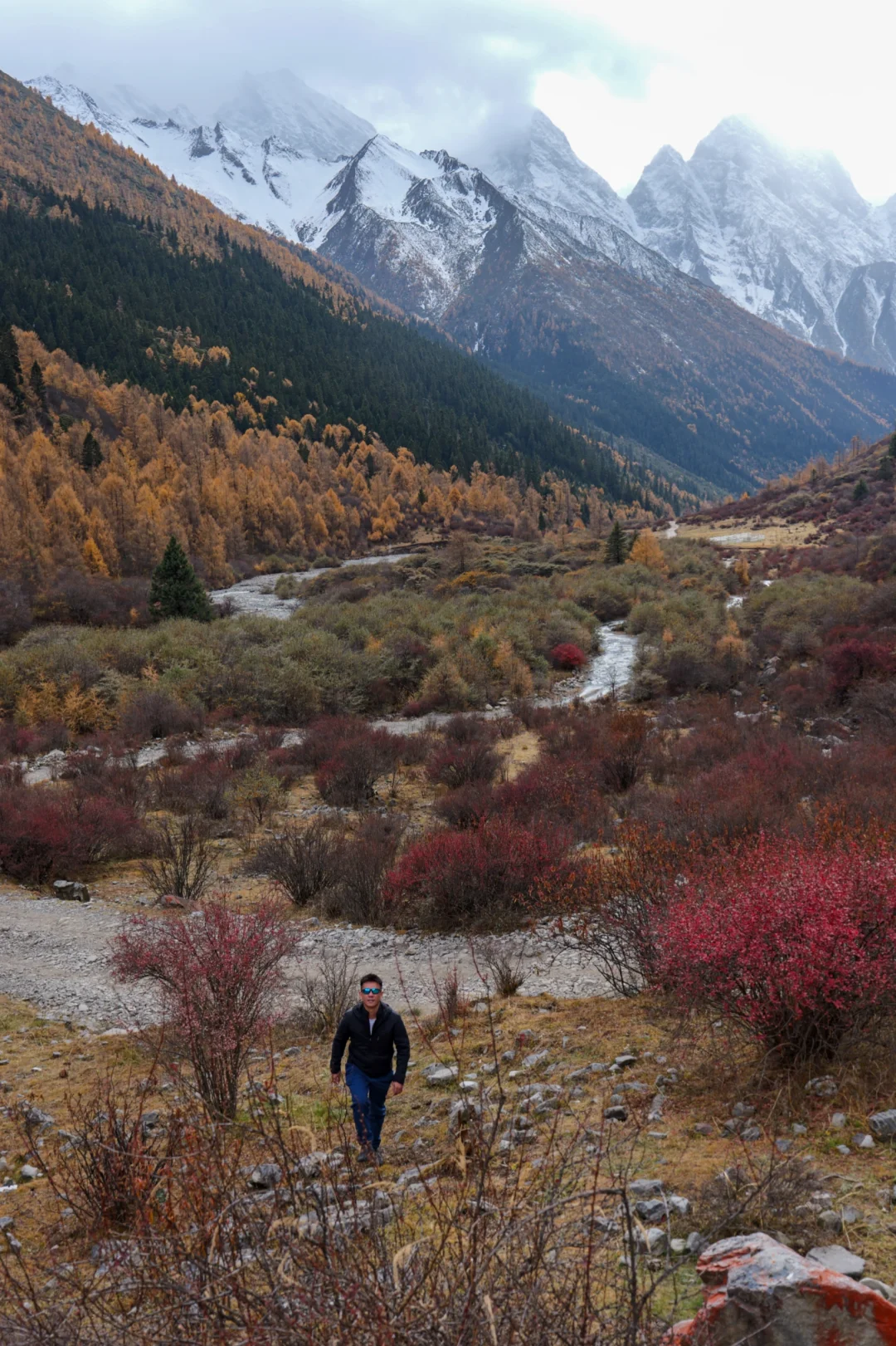 理小路结斯沟🏞️拿下雪景彩林日照金山