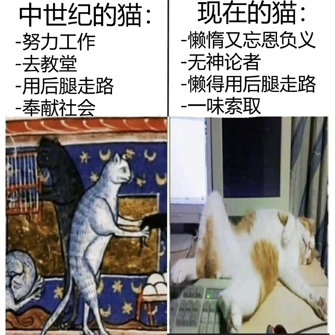 我的猫特别擅长堵住过道。伊朗曾请求借用它去封锁霍尔木兹海峡，但我当然拒绝了 ​