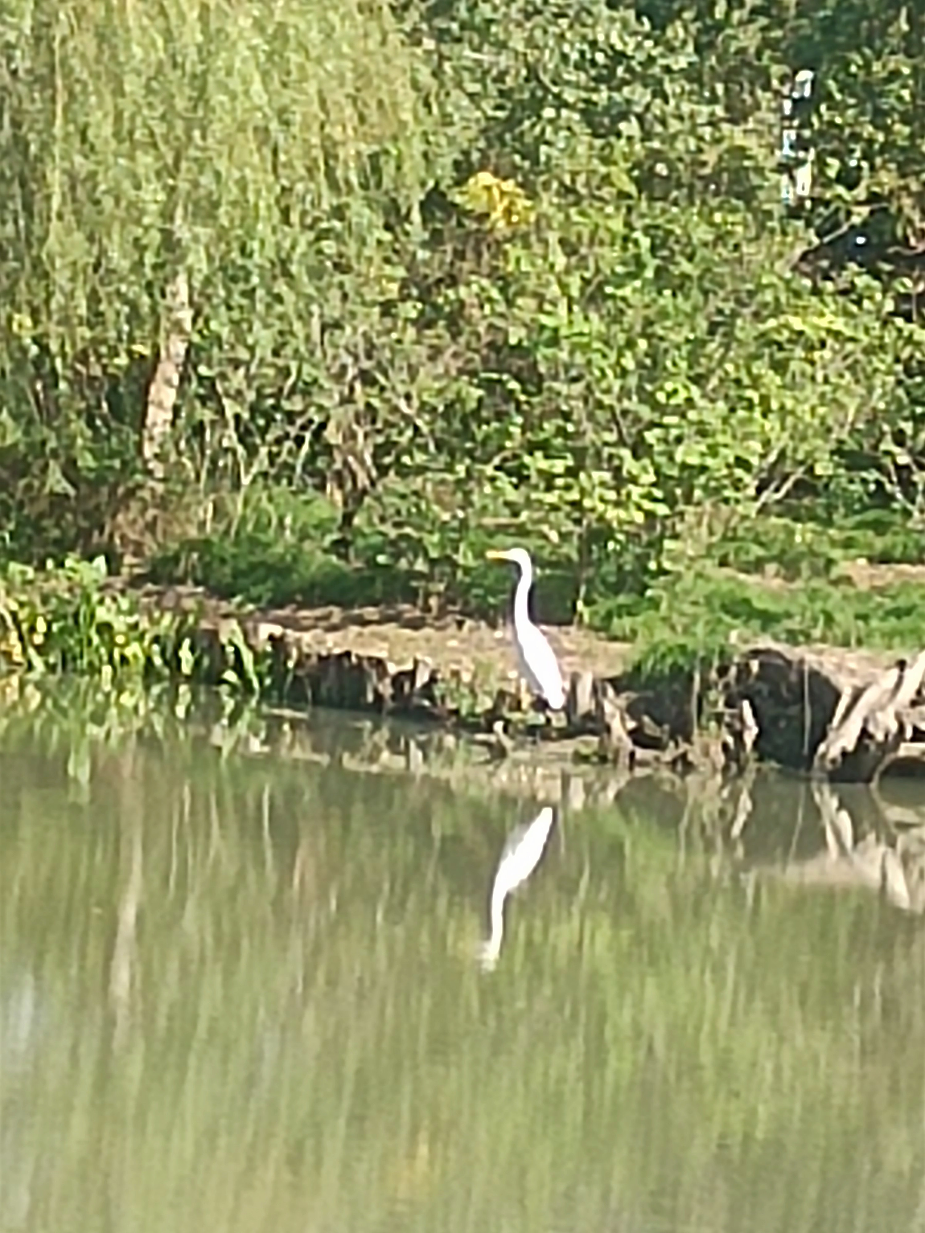 <p>你喜欢性感的泳装穿搭吗 <!--{img:0}--></p><i...