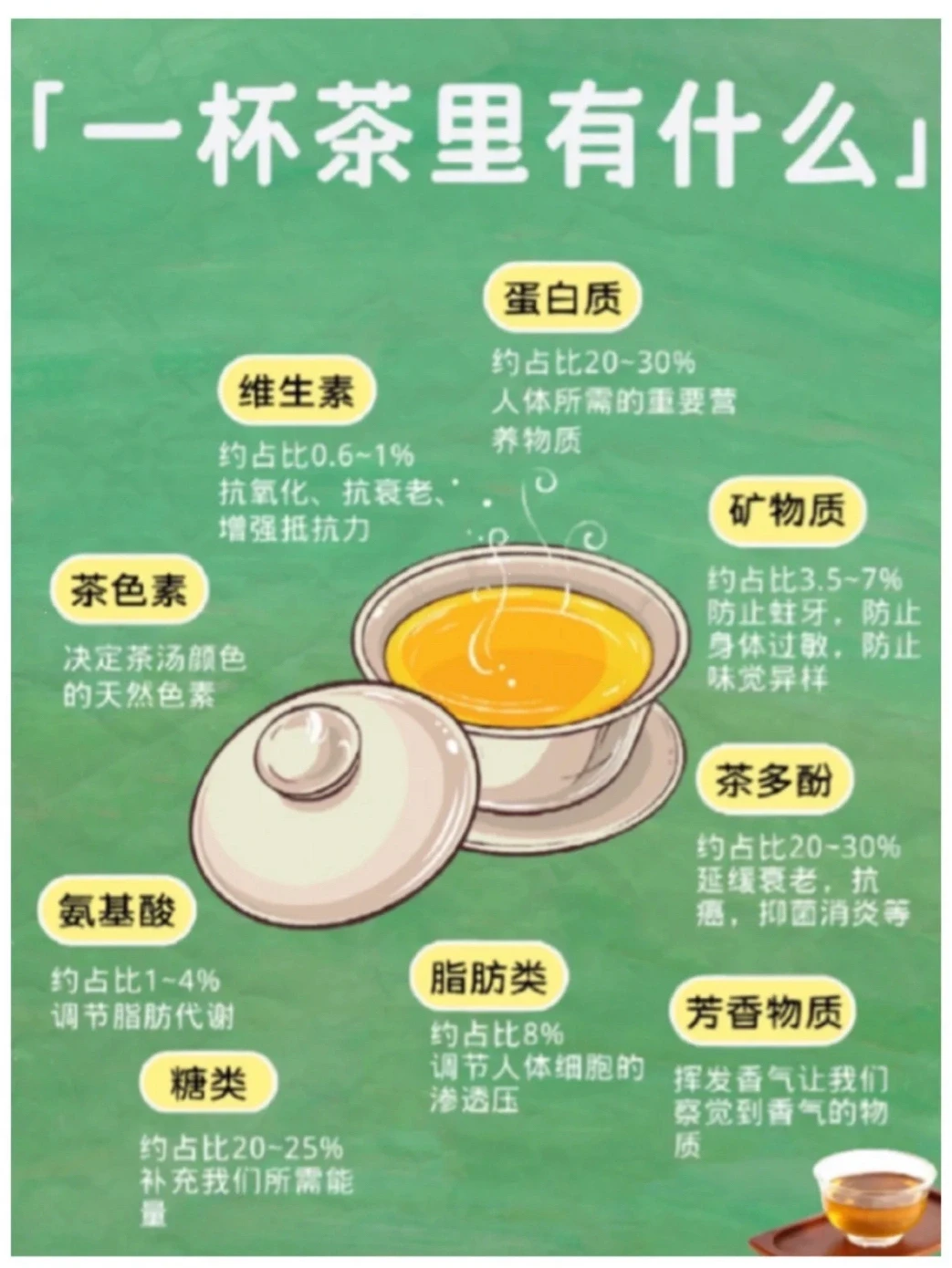 一杯茶里有什么，我来告诉你！