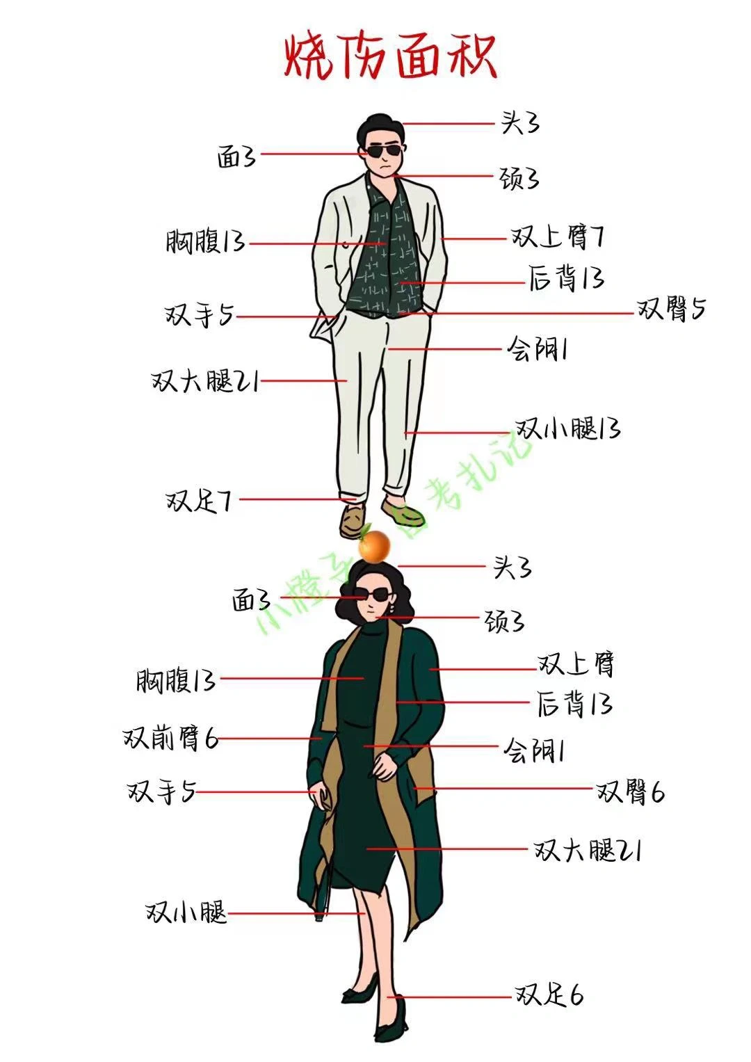 ✅烧伤面积计算，你学会了吗？🤔️