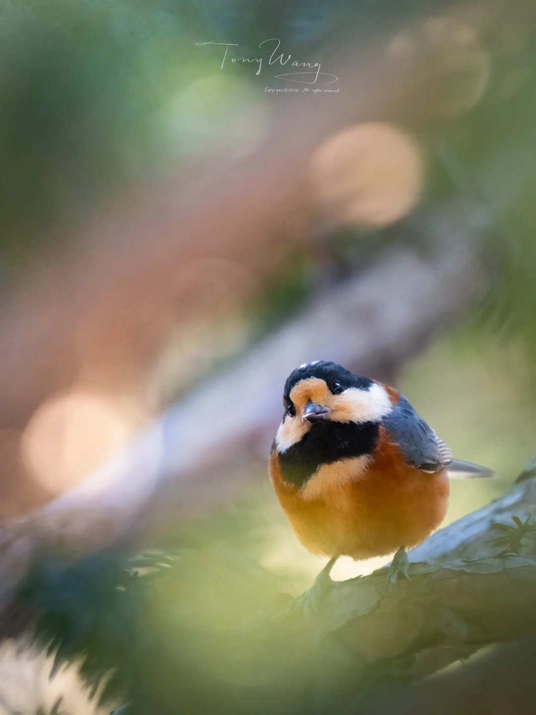 2026过去这么久了，让我看看是谁还没加到新