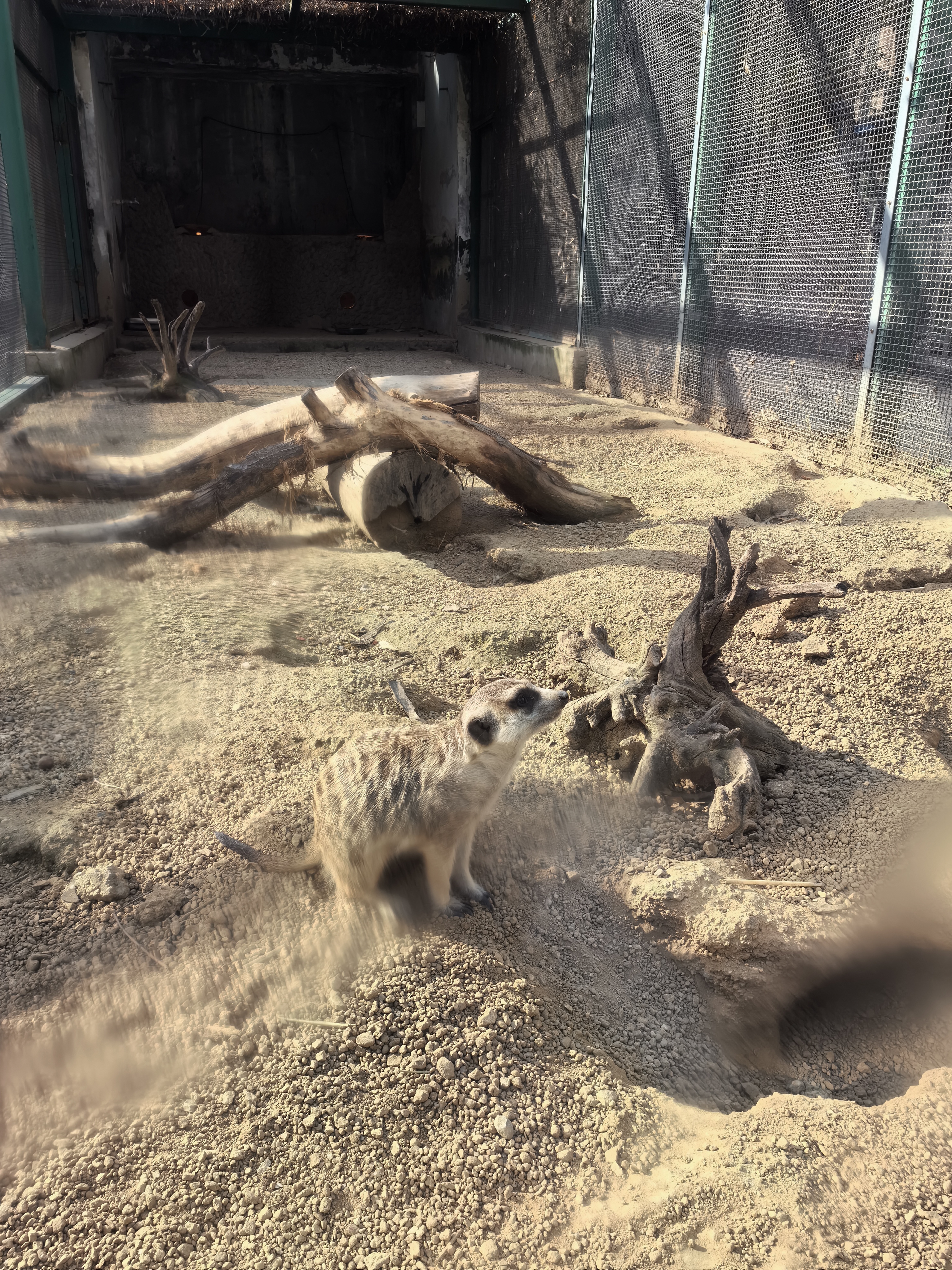 <p>如何看待火箭队大胜湖人两对实力相当不可能被横扫的 <!--{im...