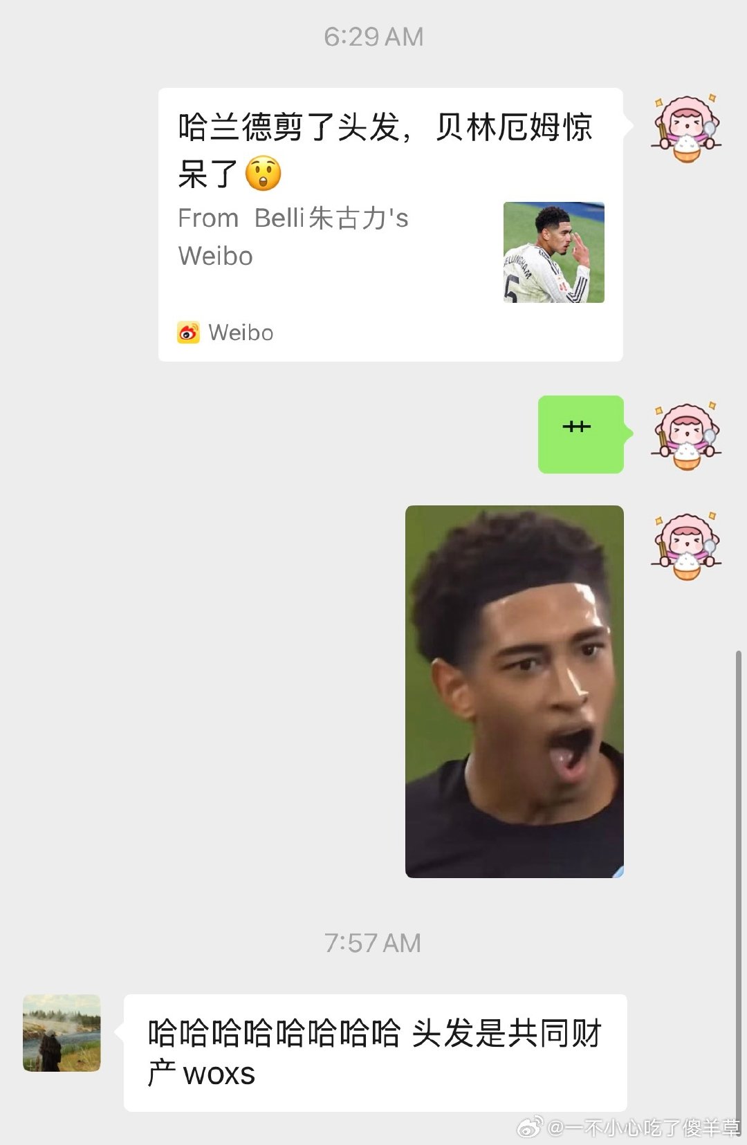 哈兰德的头发是哈贝夫妻共同财产[good] ​