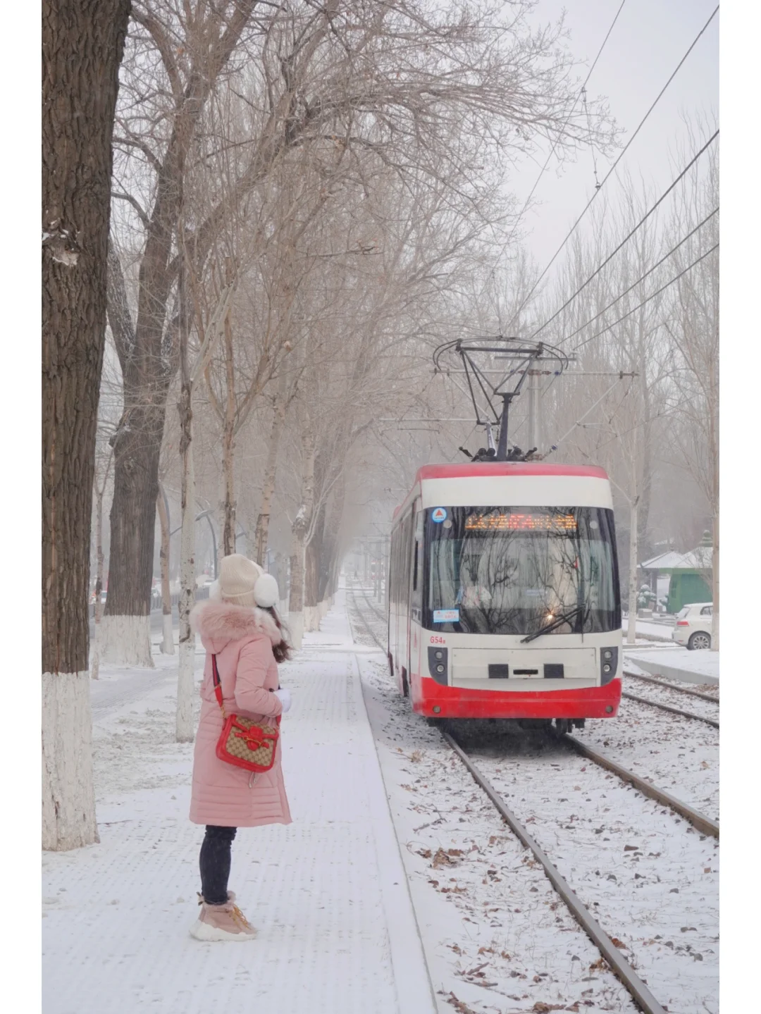 这不是北海道，是长春冬季童话般的雪国列车