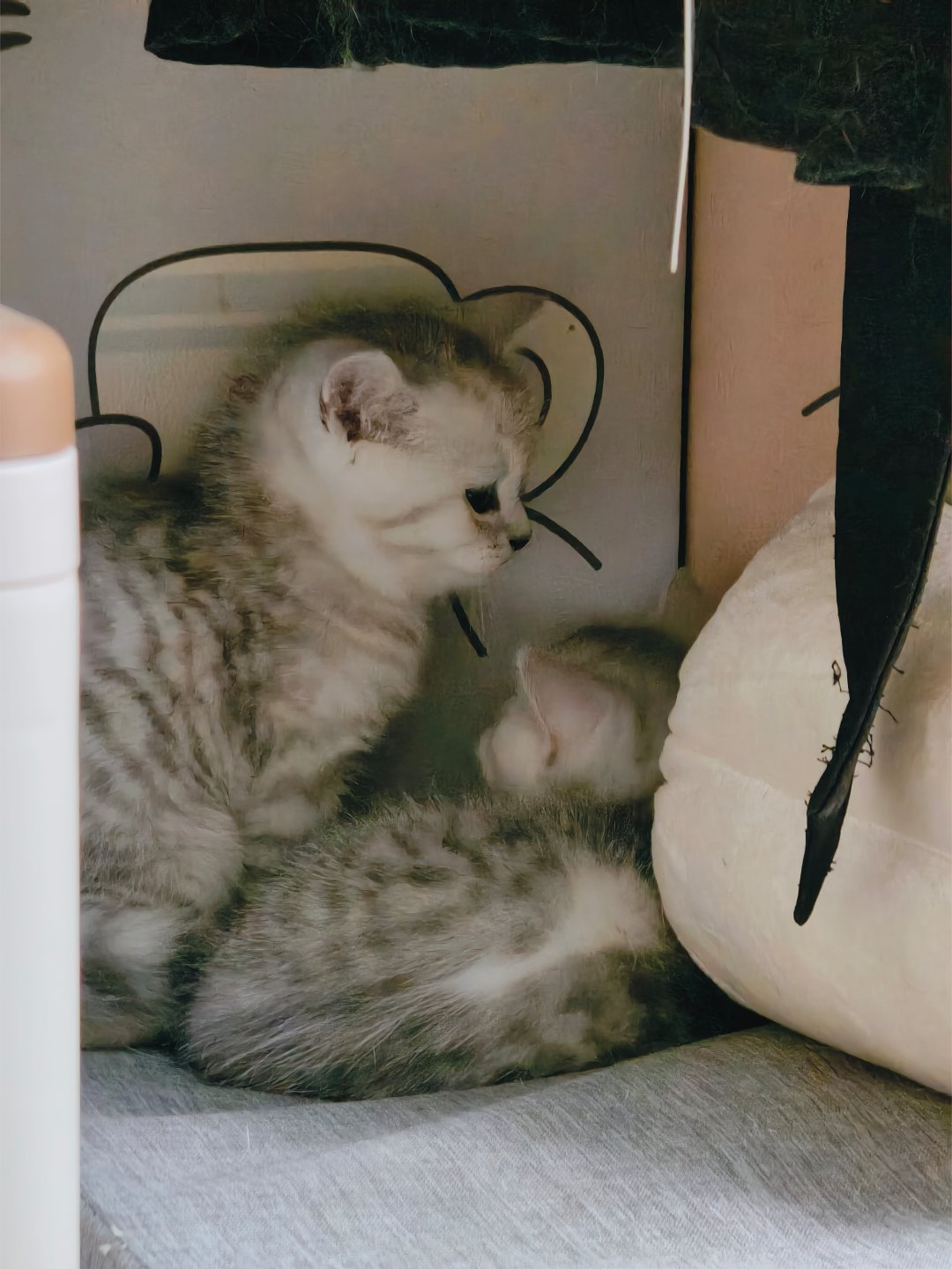 九月第一天
今天去撸了超级可爱的小猫咪们
很开心，小猫崽们实在太萌了
但是今天工作不太顺利
又再次遇到不懂的地方了
和deepseek斗智斗勇了一天也无果
午休醒来脑海里在思考
我是不是应该要有计划地去完成自己的课题
感觉目前自己还是处于啥都不懂的状态[衰][衰][衰] ​