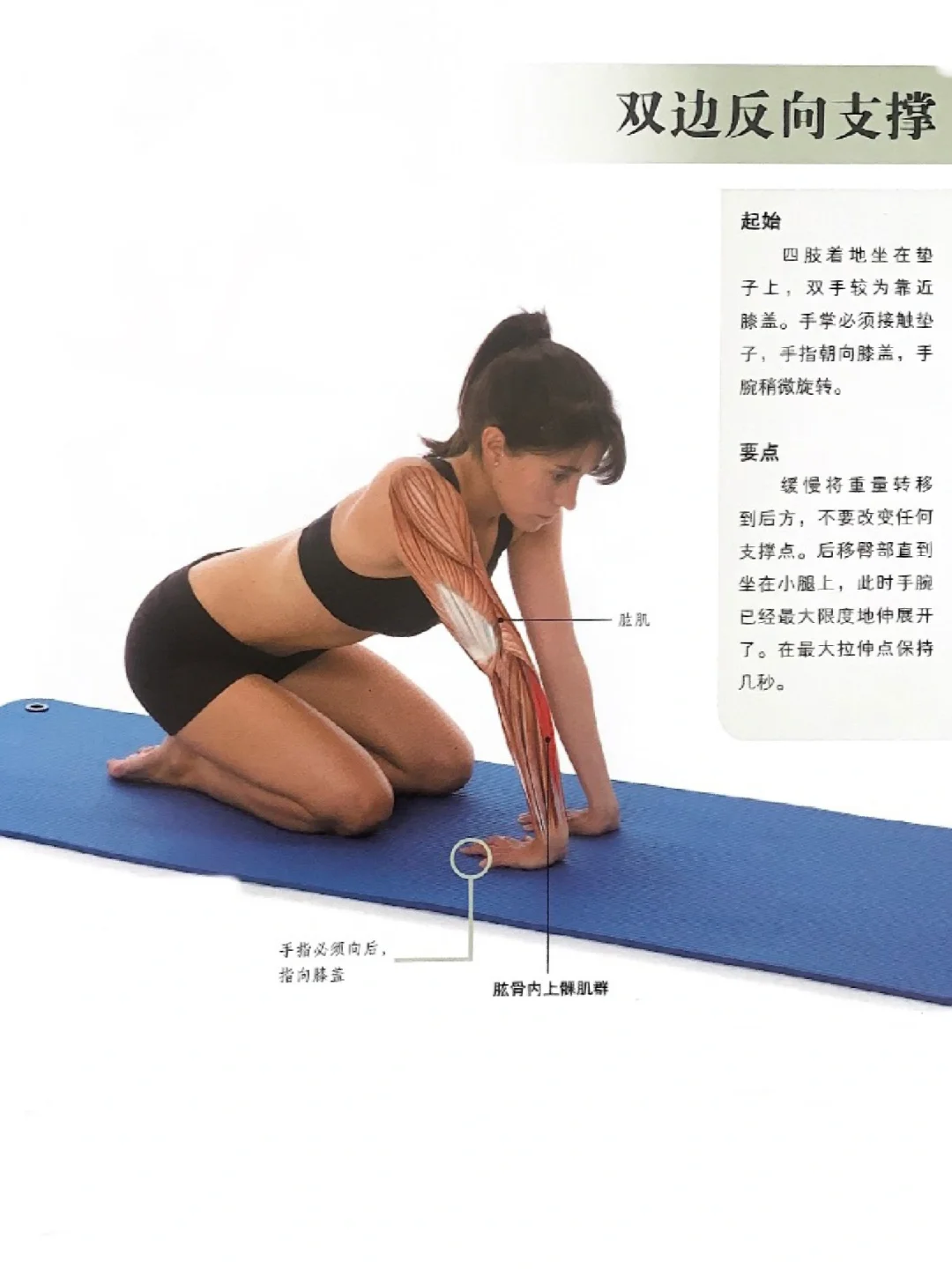 这个动作拉伸手臂绝了🔥