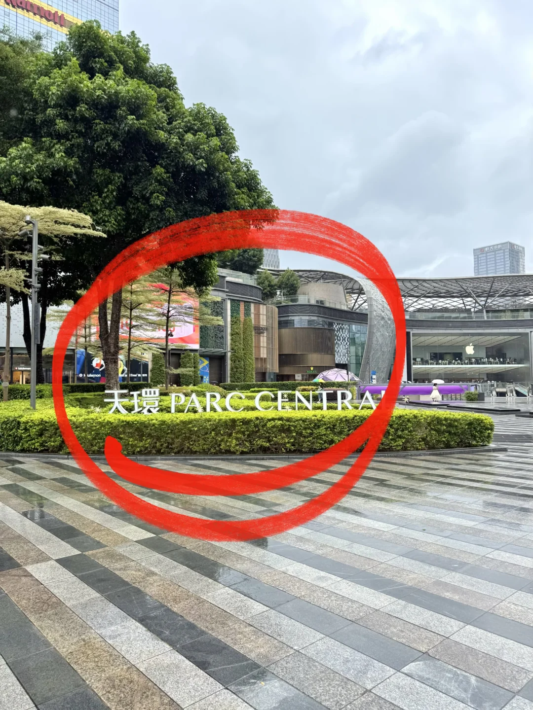 ⚠️天环。。新的。。⚠️新的