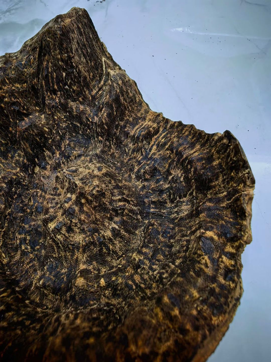 闻香品茗：完美诠释了海南沉香“惟膏液之内足”的特征，软，糯，油性足……

[心]

#非物质文化遗产##手工艺##传统手工艺##2026-2027赛季NBA常规赛##任嘉伦解说76人vs尼克斯##詹姆斯新赛季首战顶到中锋位置##2026维密大秀##嫁金钗# ​