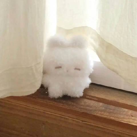 是冷萌脸烧