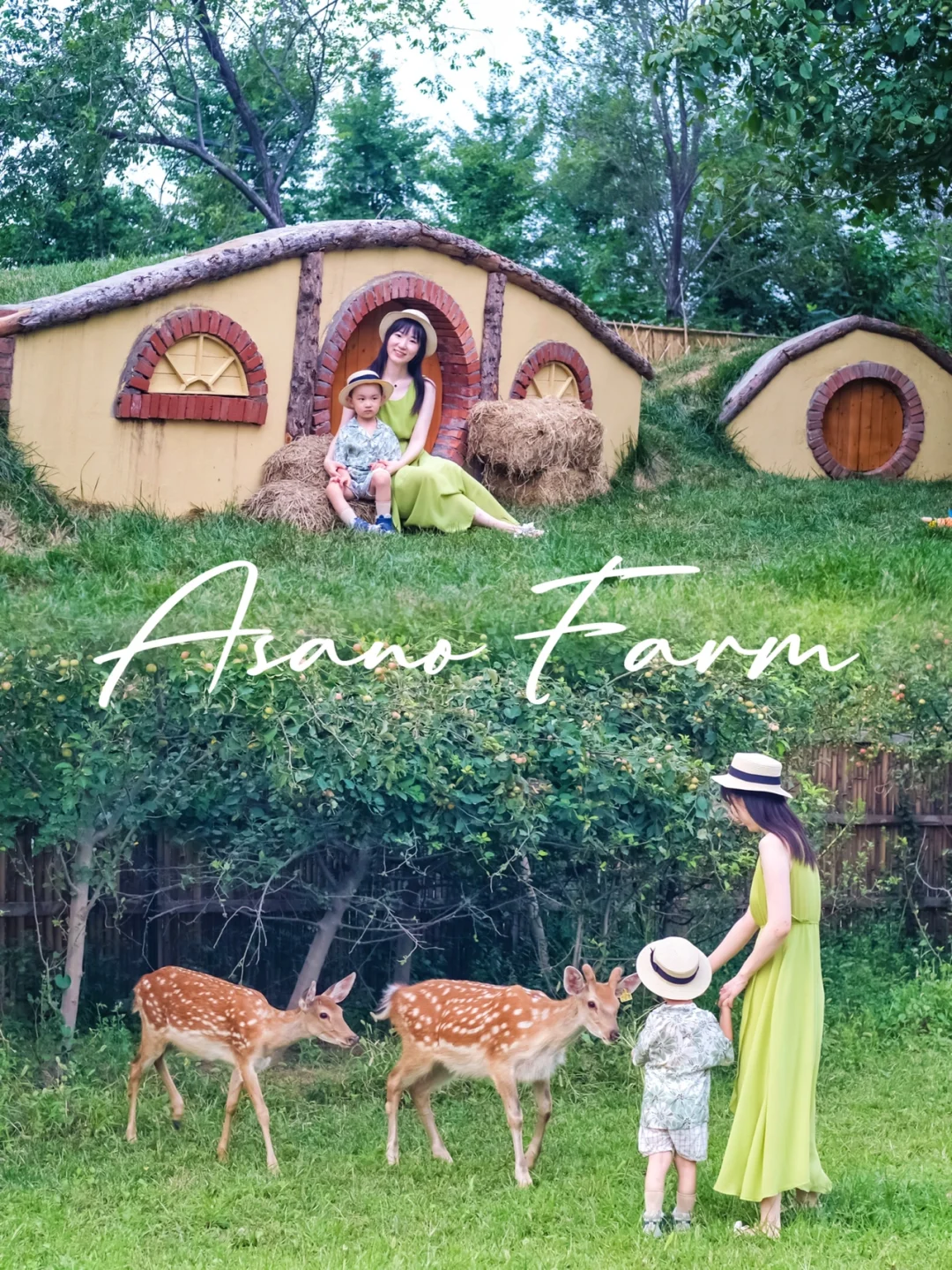 北京“小奈良”🦌霍比特小屋🧚🏻在童话里露营