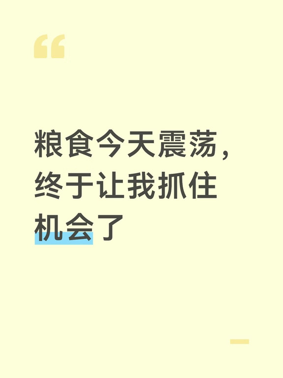 粮食今天震荡，终于让我抓住机会了