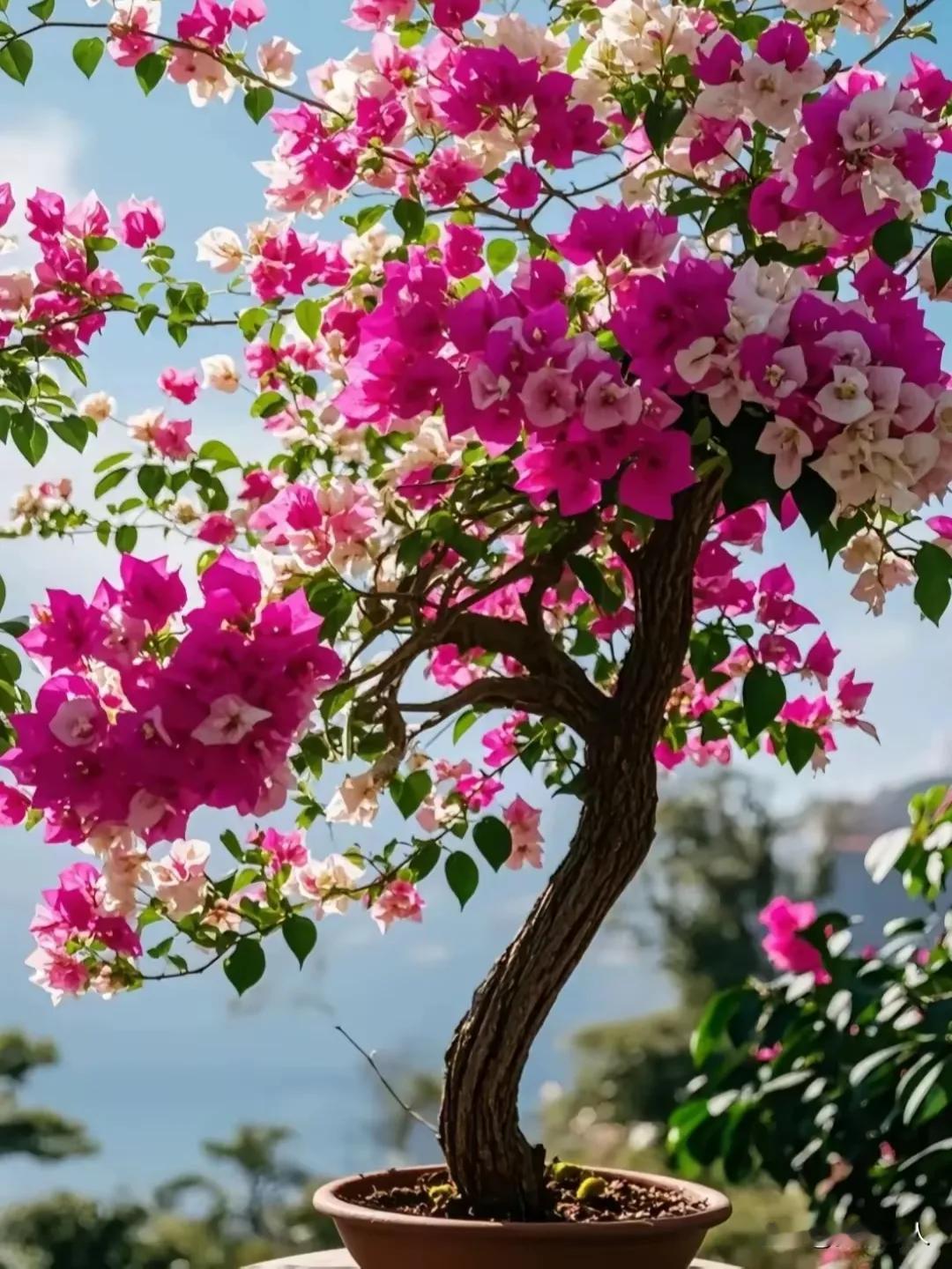 美女美女！这位年轻护士心地善良、容貌美丽，浑身充满正能量，堪称真正的勇士也！